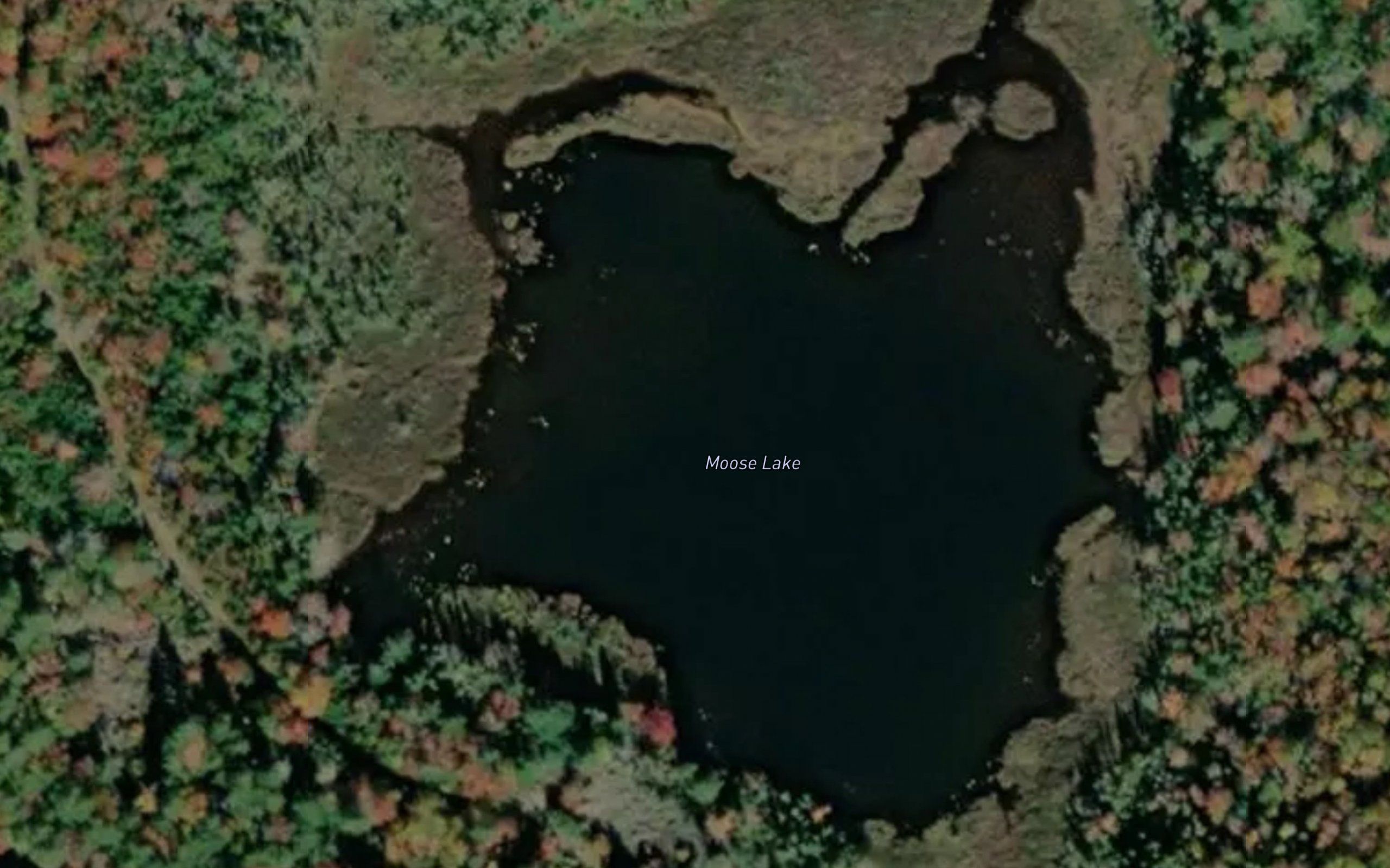 Moose Lake