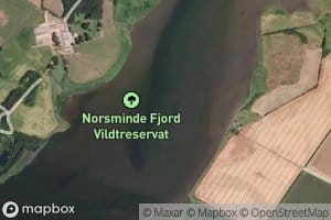 Norsminde Fjord
