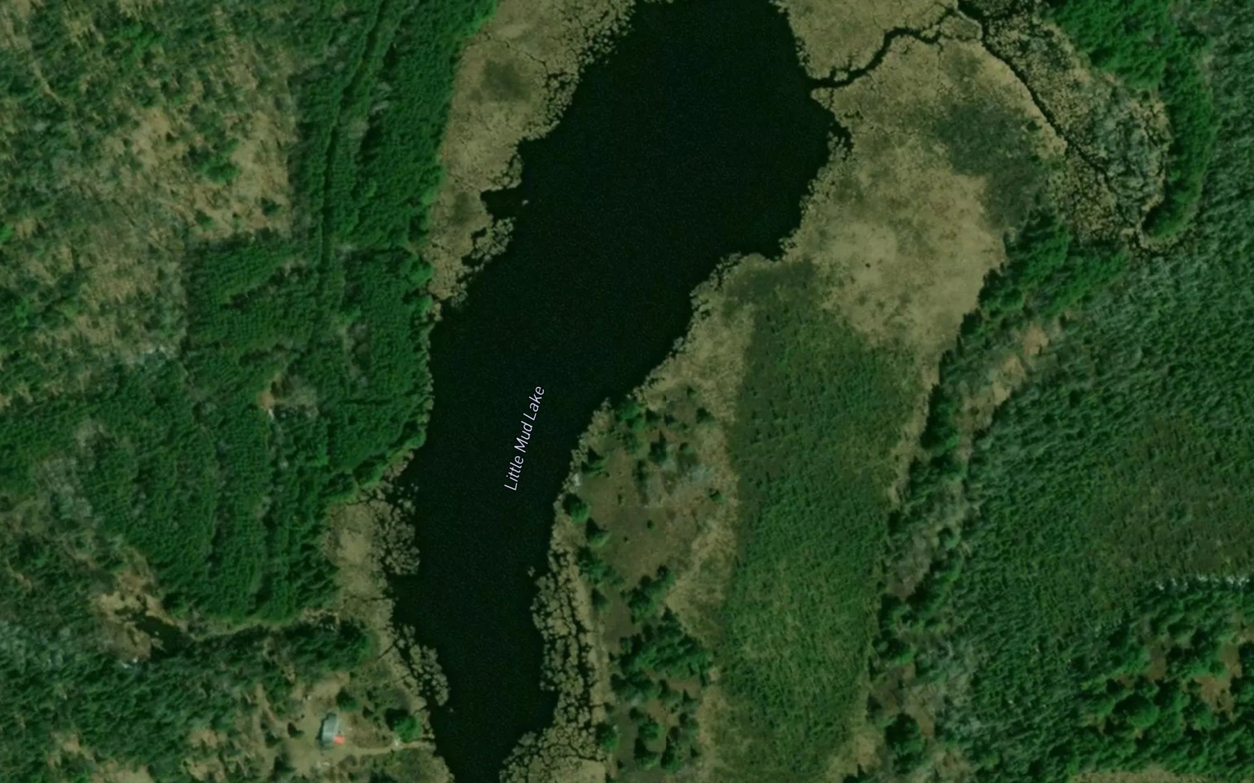 Satellite map of the Little Mud Lake