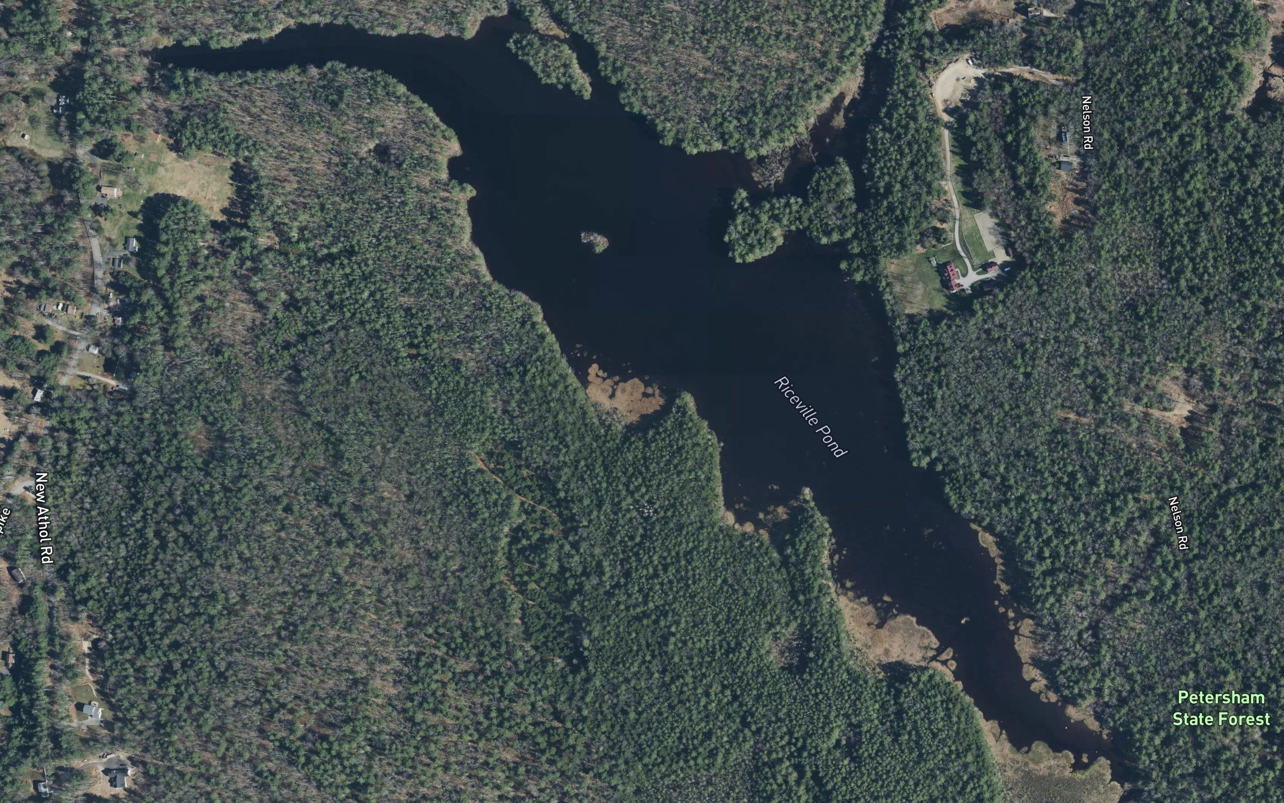 Riceville Pond