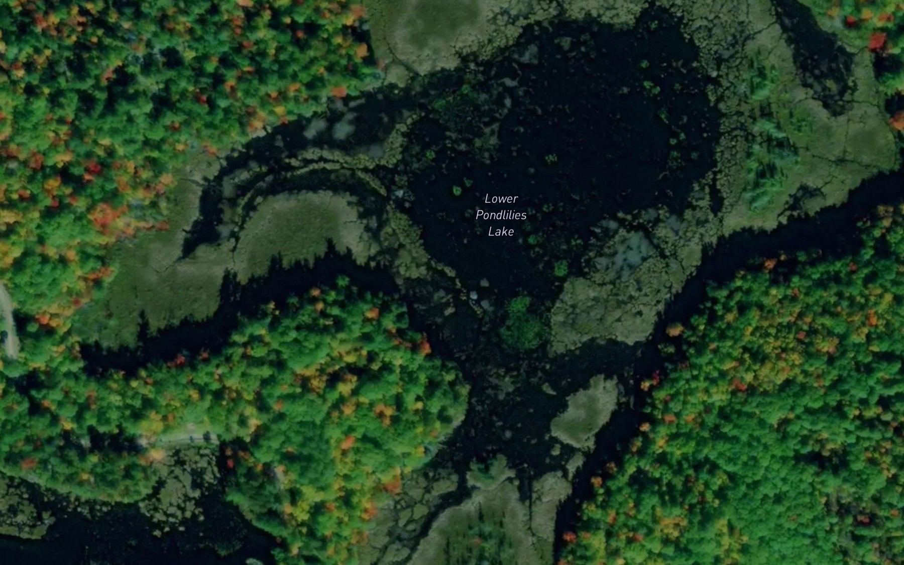 Satellite map of the Lower Pondlilies Lake