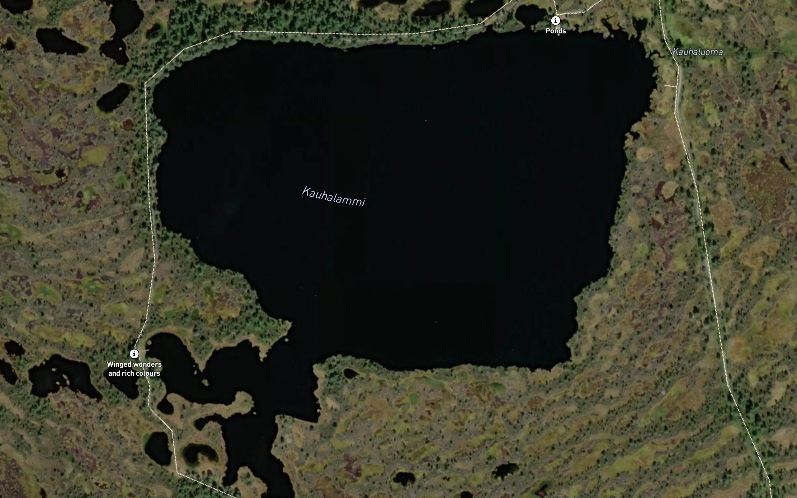 Kauhalammi