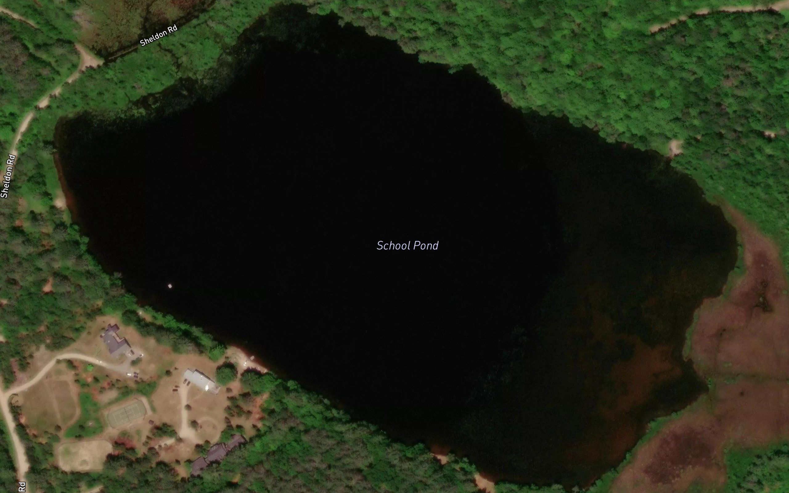 School Pond