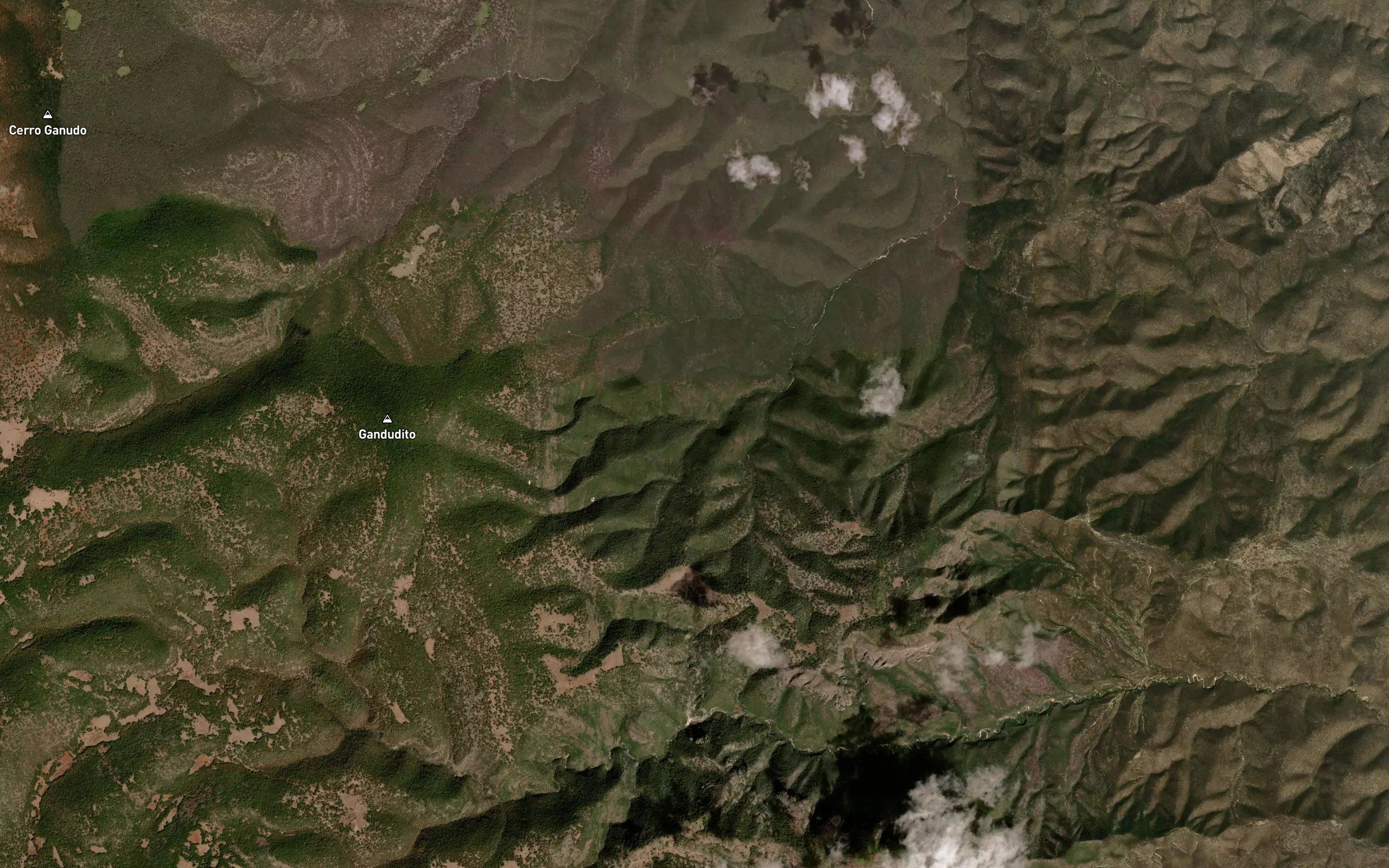 Barranca Seca