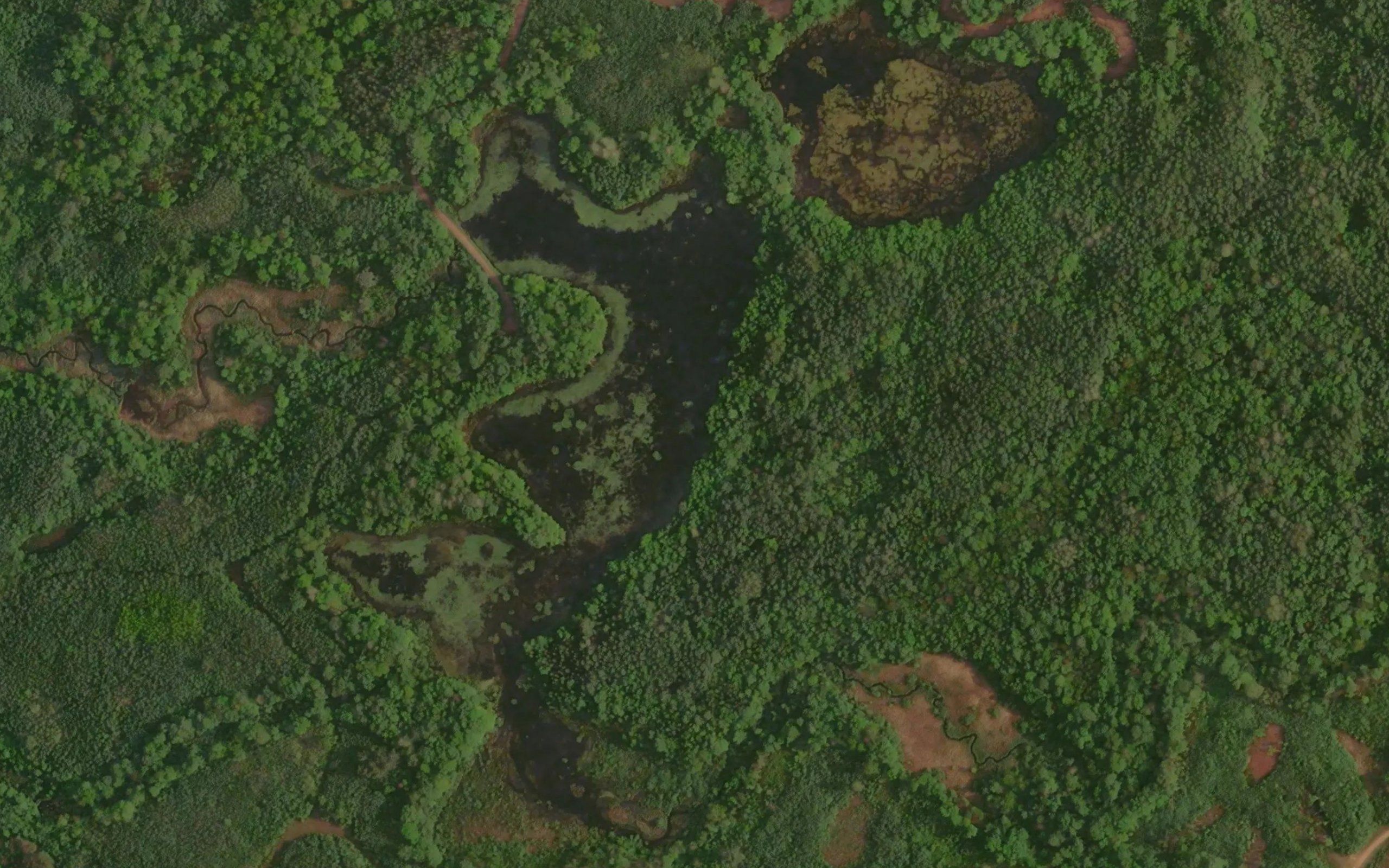 Willow Creek Flowage Number One