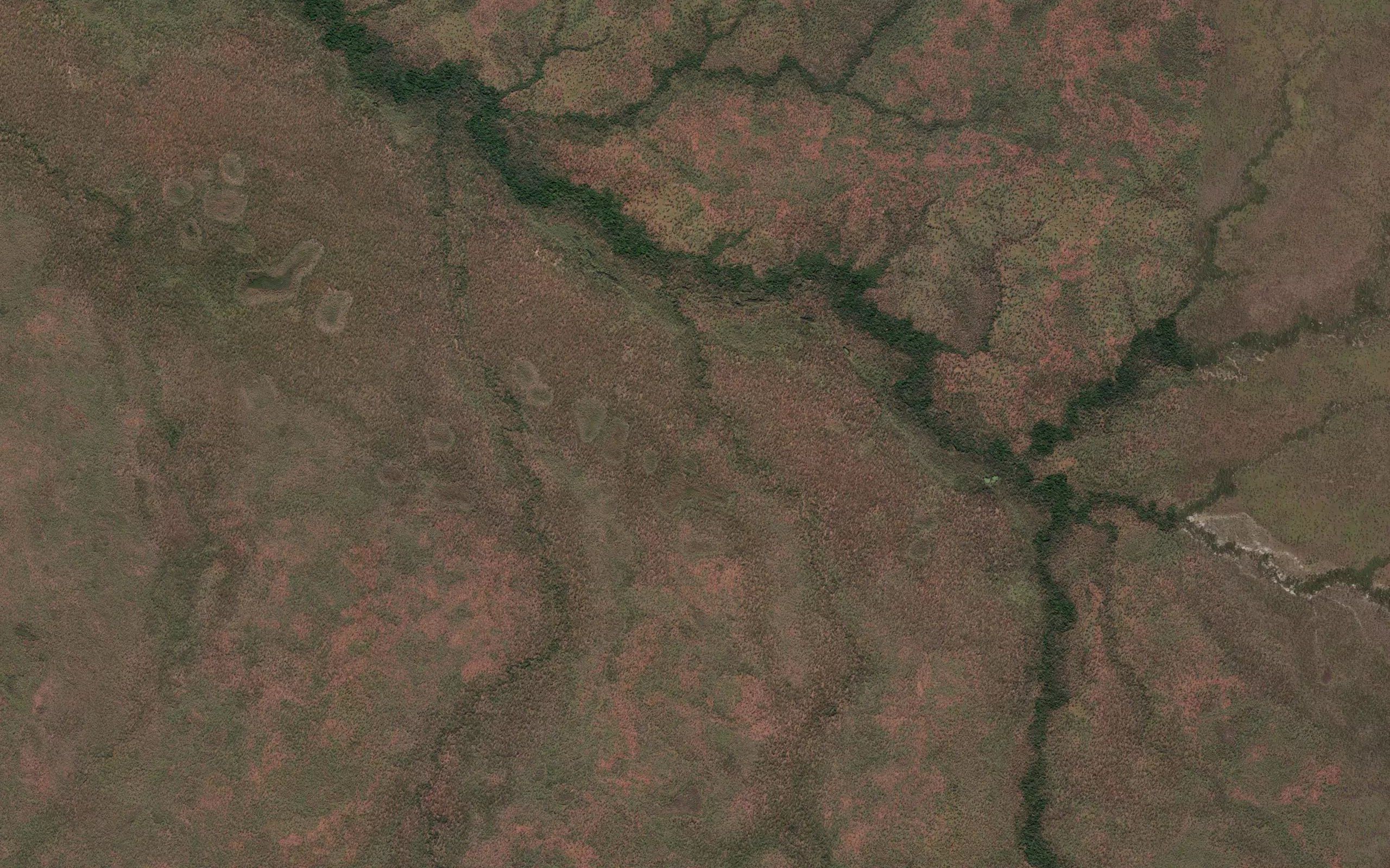 Kooka Creek