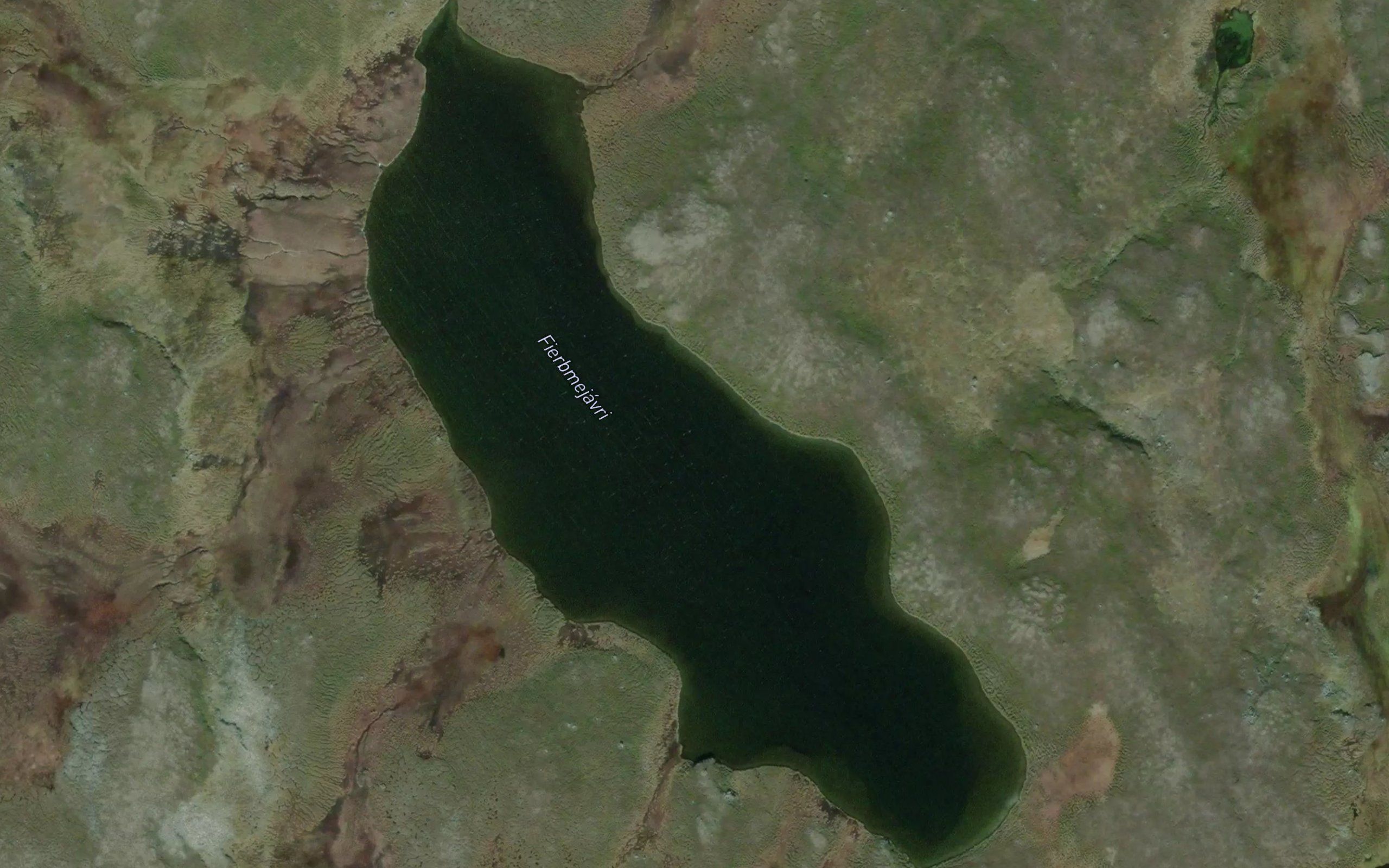 Fierbmejavri