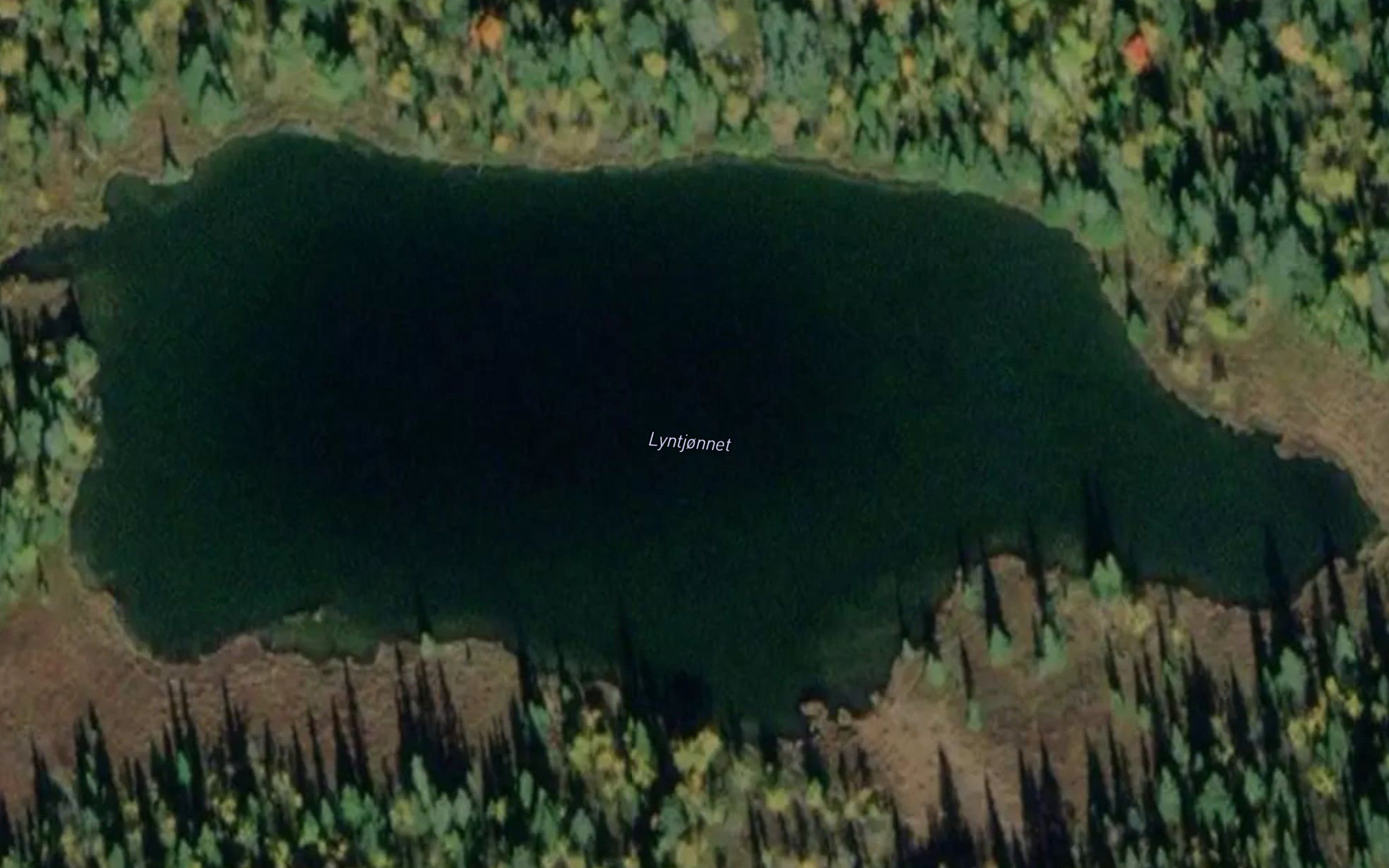 Lyntjonnet