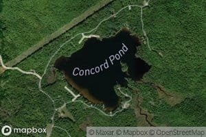 Concord Pond
