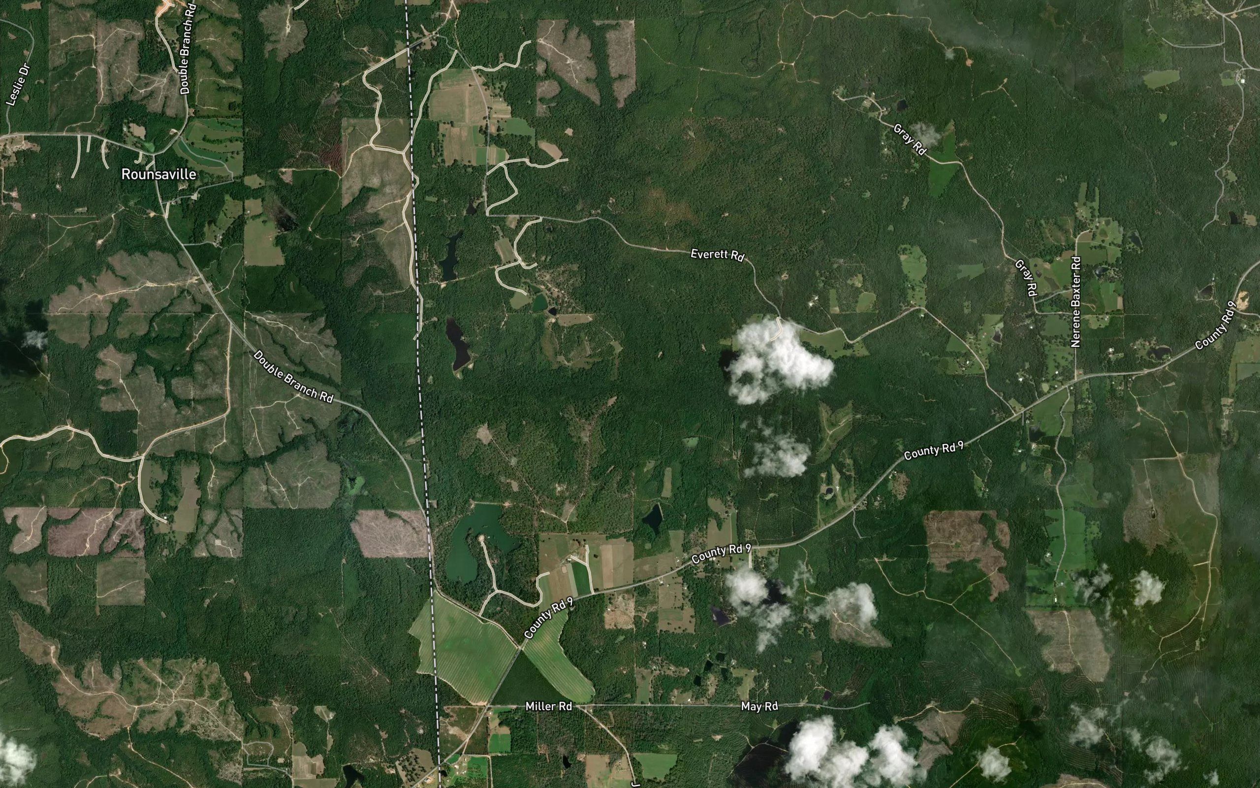 Martins Swamp