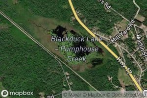 Blackduck Lake