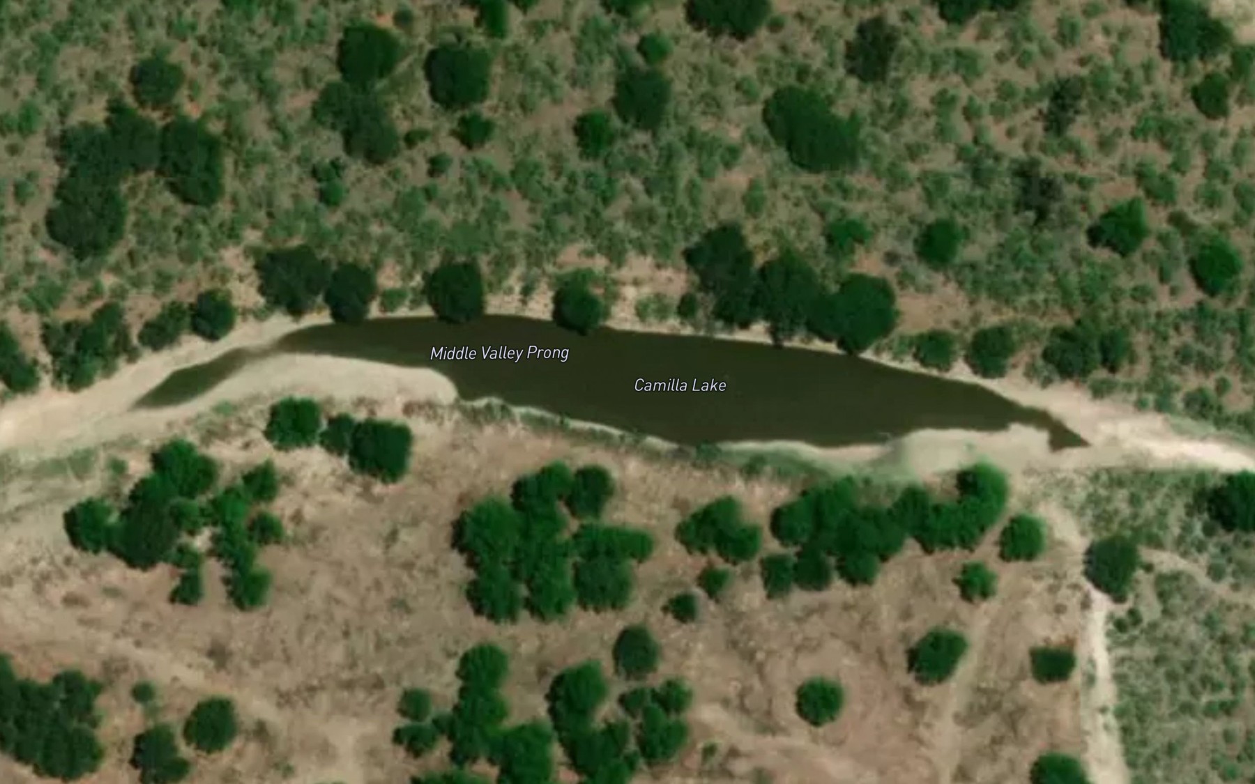 Satellite map of the Camilla Lake