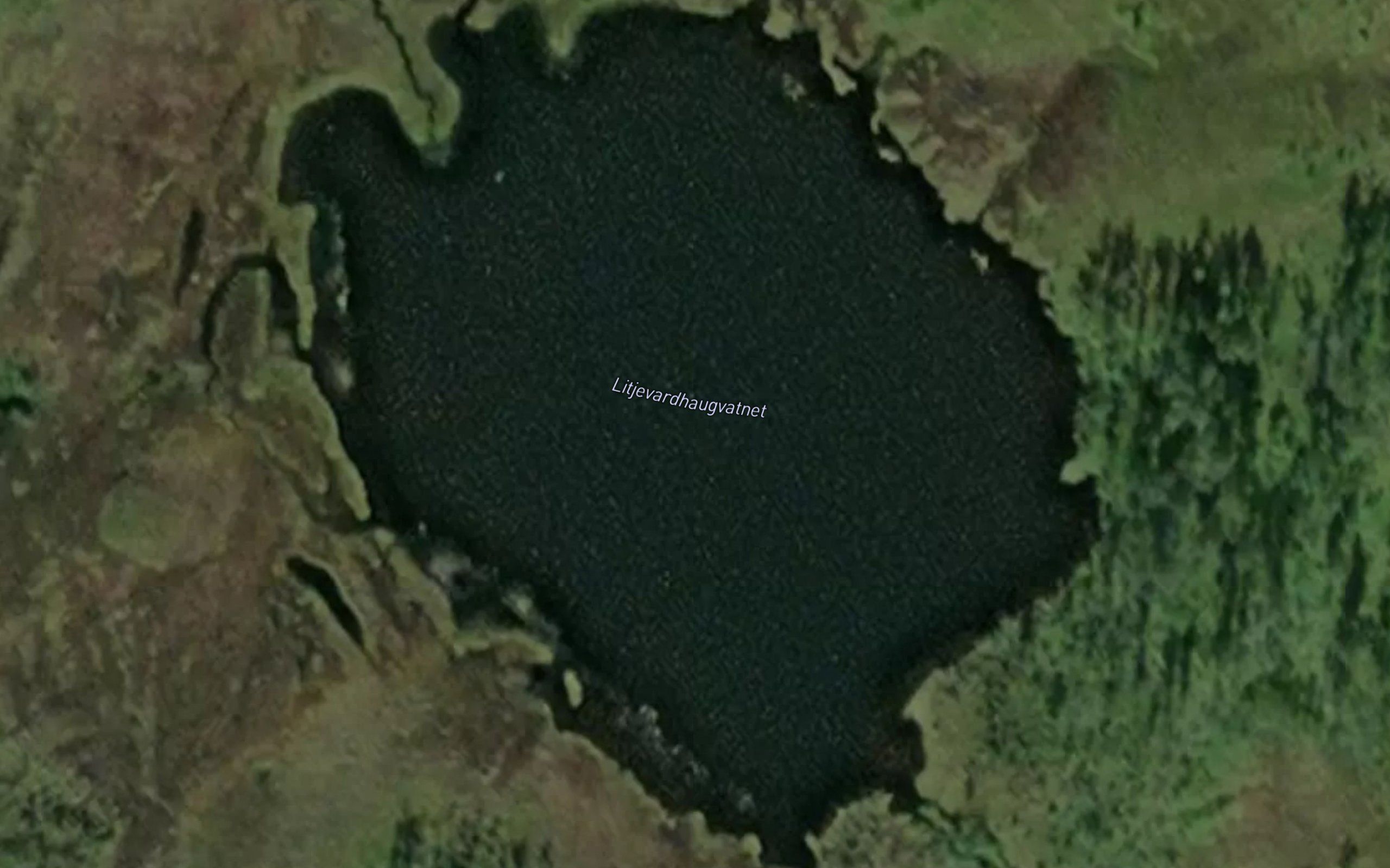 Litjevardhaugvatnet