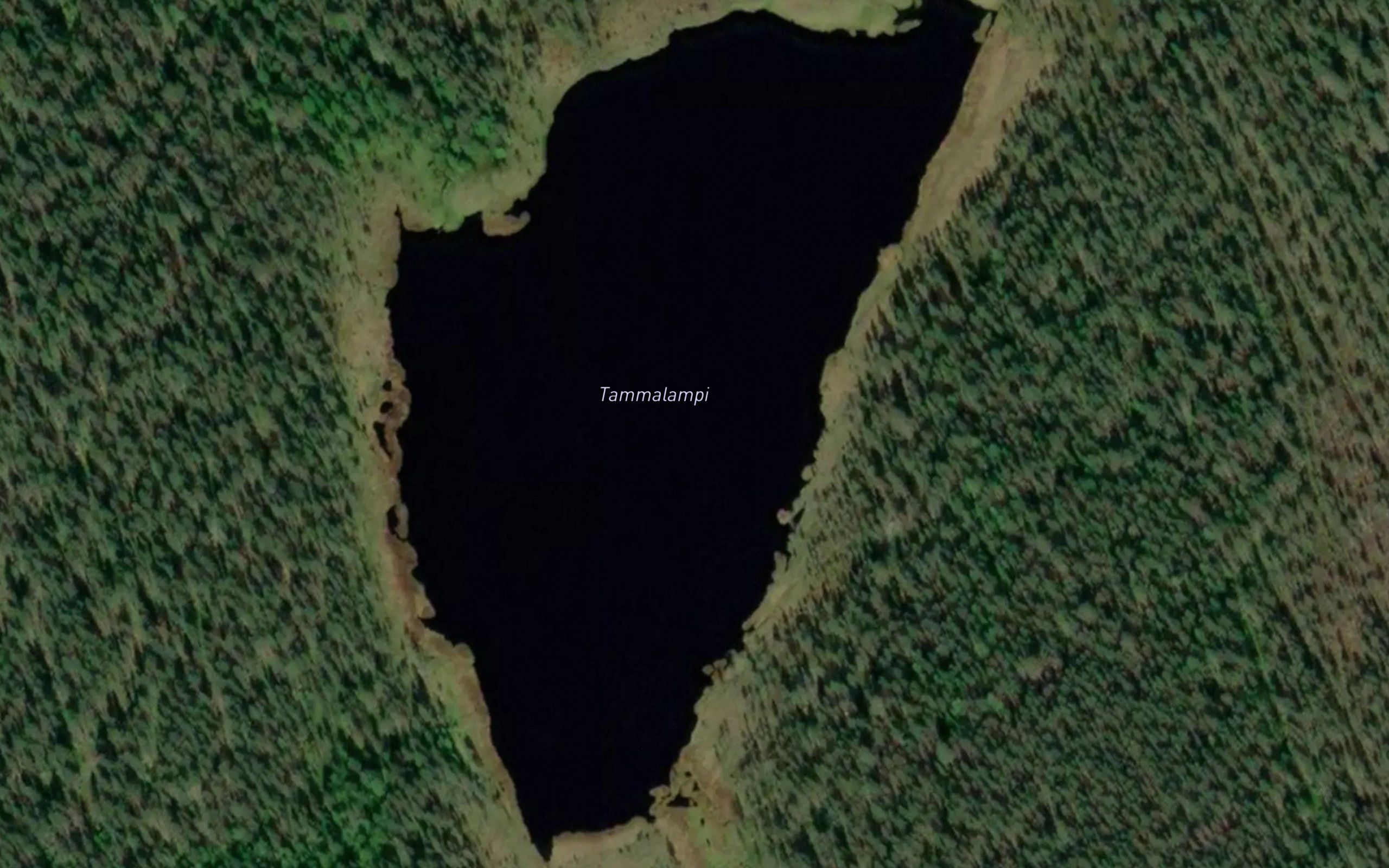 Tammalampi