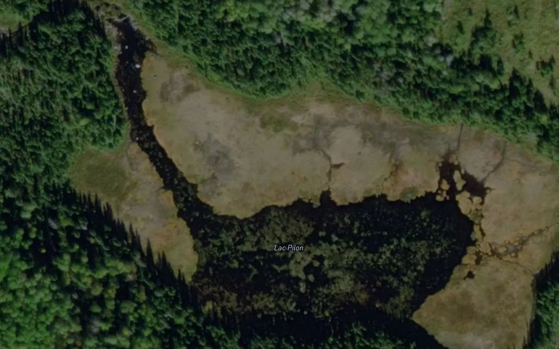 Satellite map of the Lac Pilon