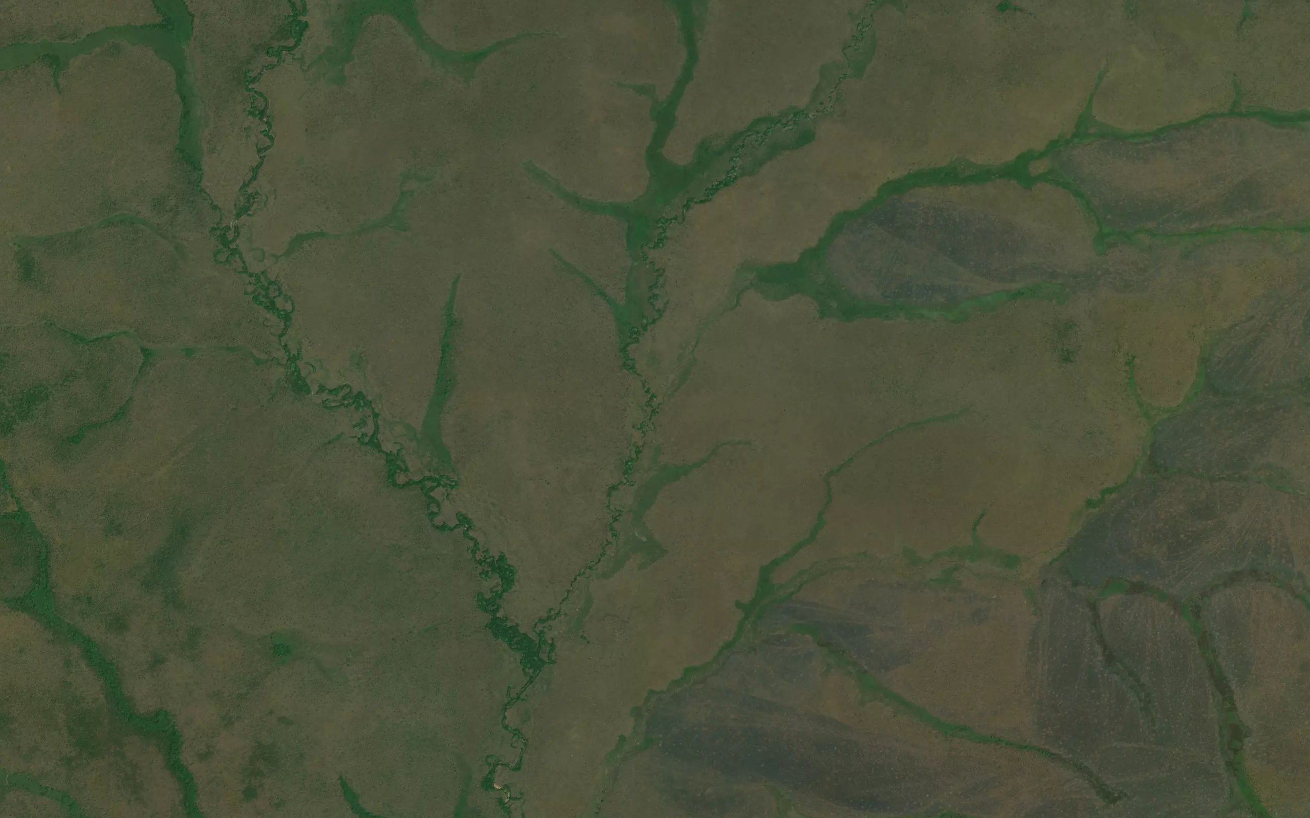 Nabagu