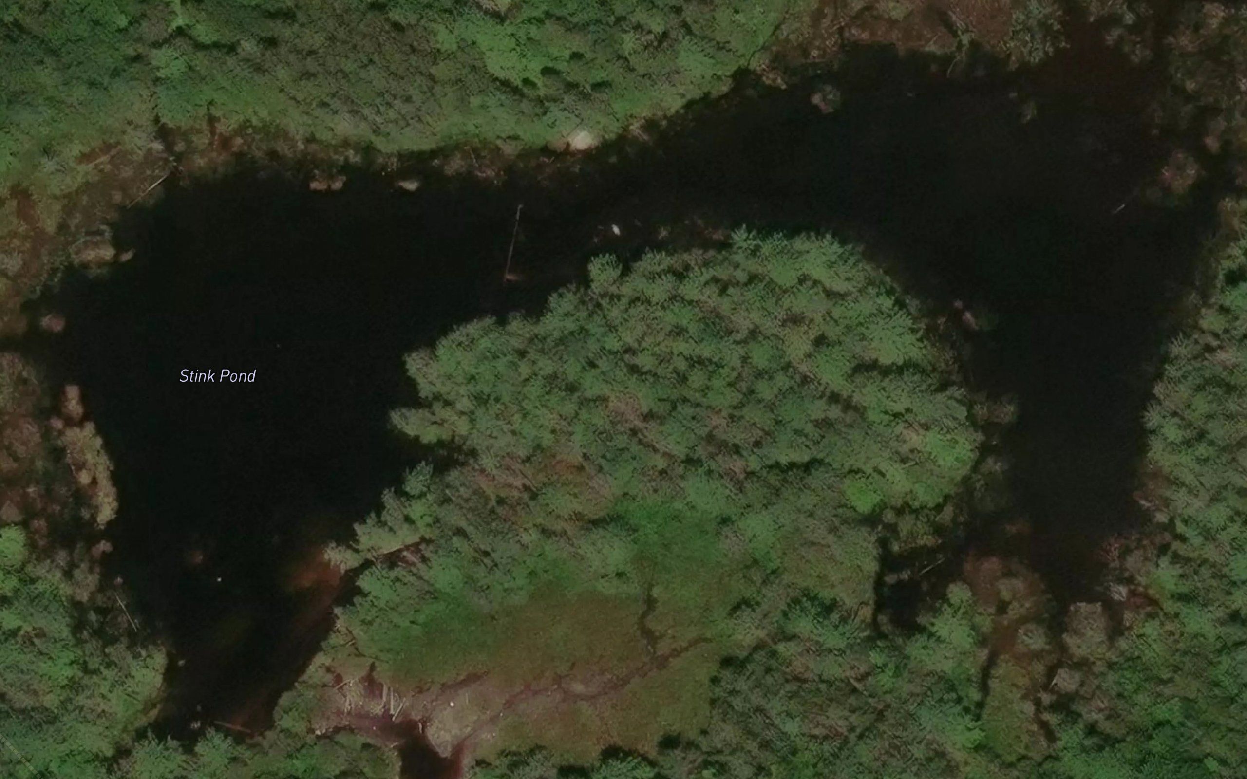 Stink Pond