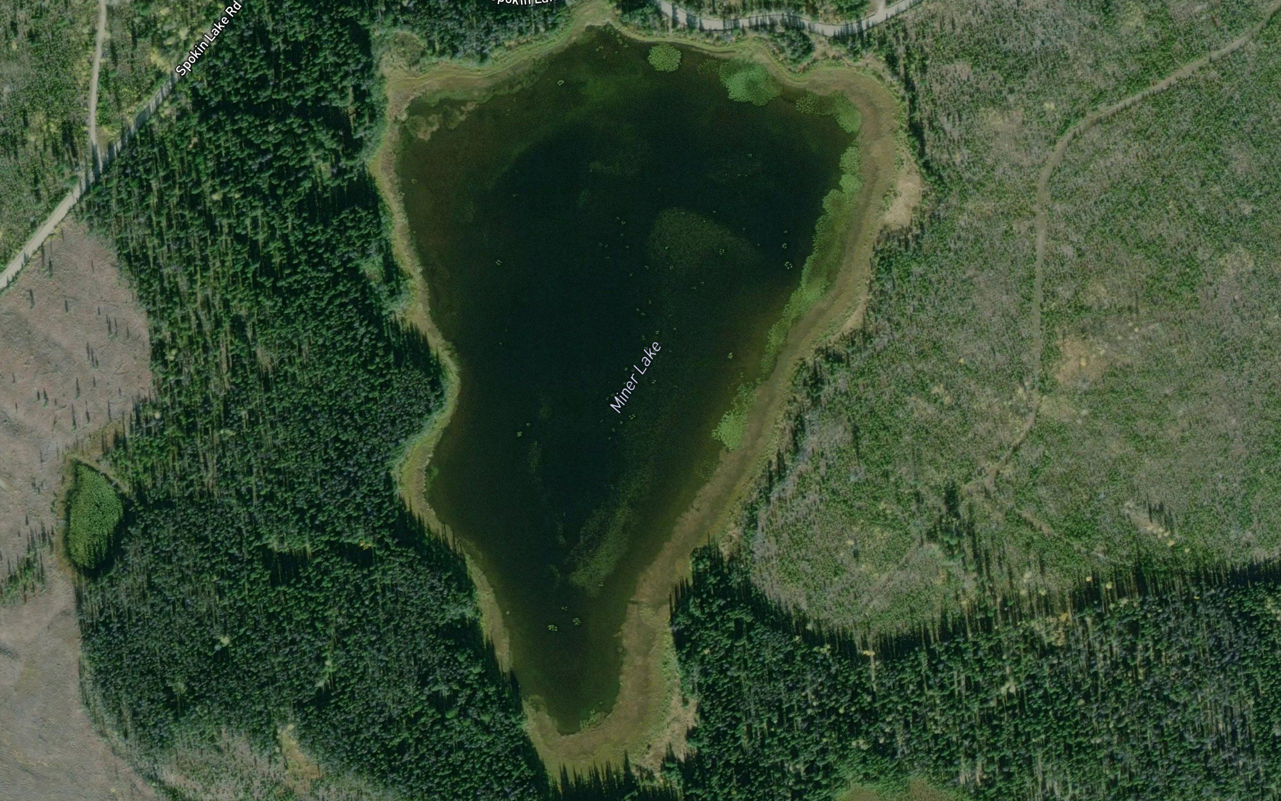 Miner Lake