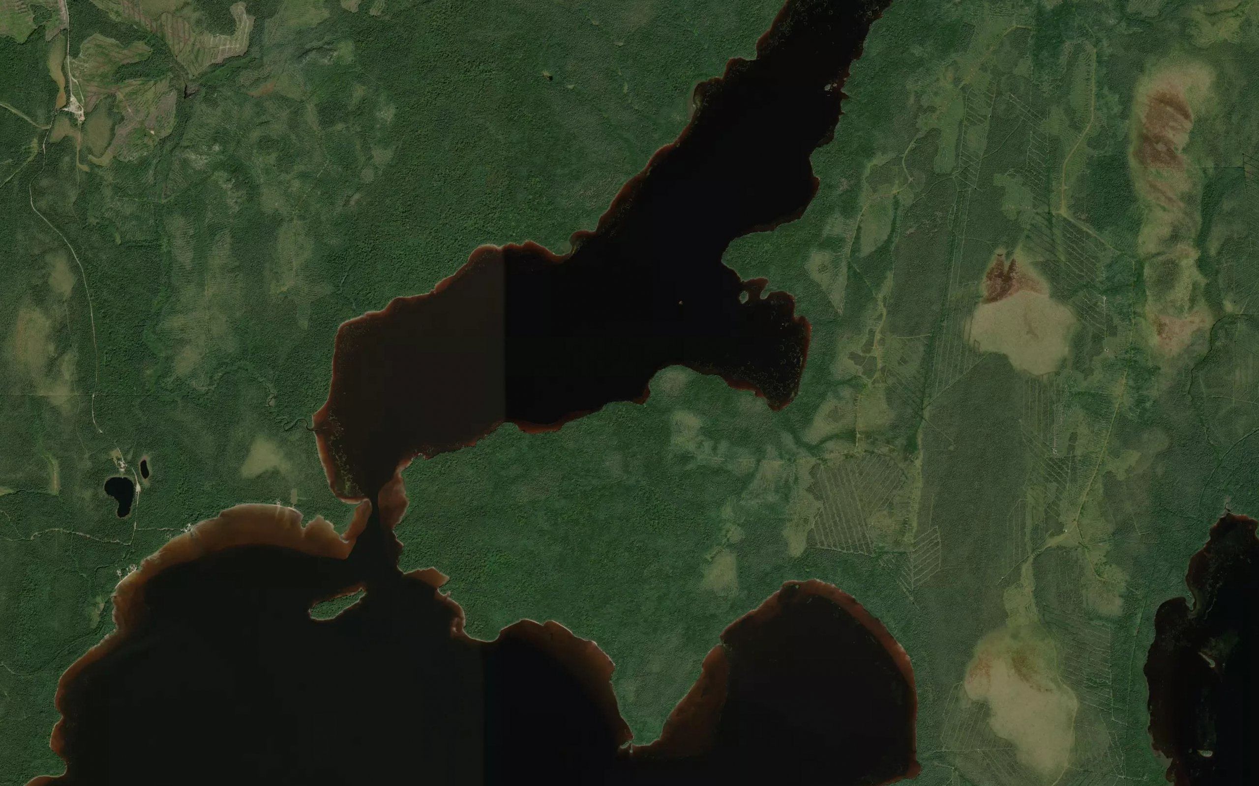 Baie des Aviateurs
