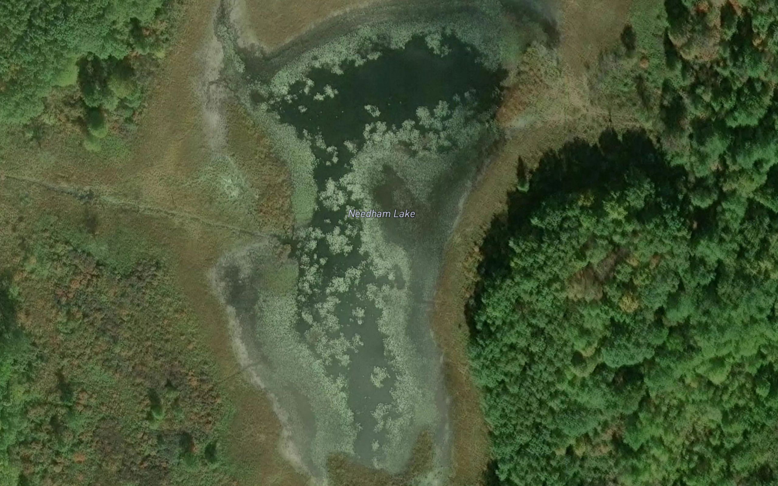 Needham Lake