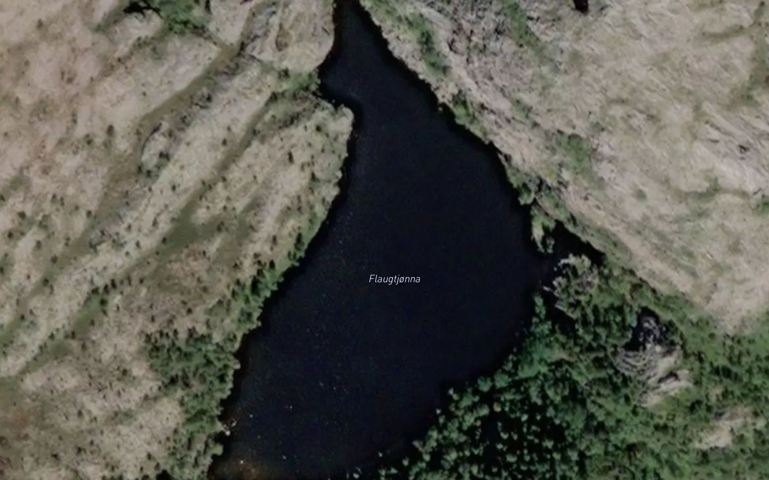 Flaugtjorna