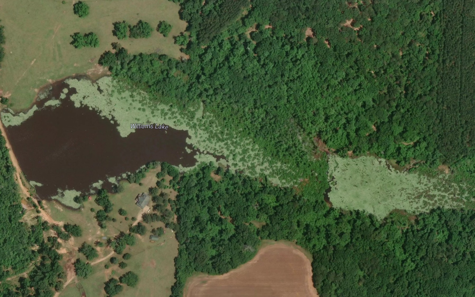 Satellite map of the Williams Lake