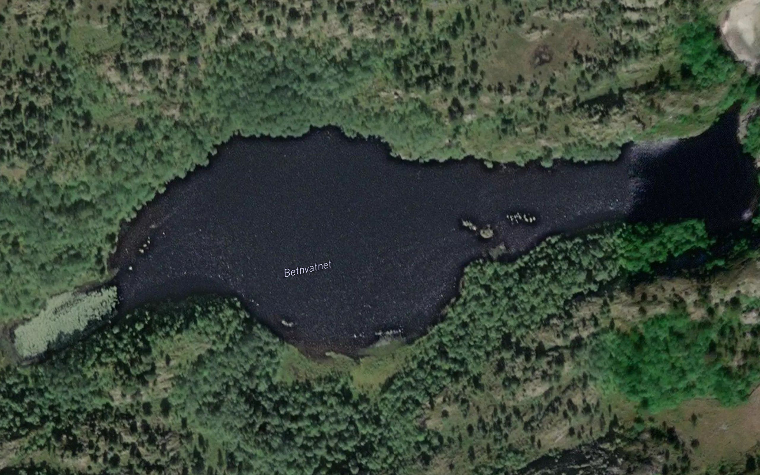 Bertnvatnet