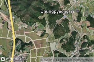 Chungpyeongje I Jeosuji