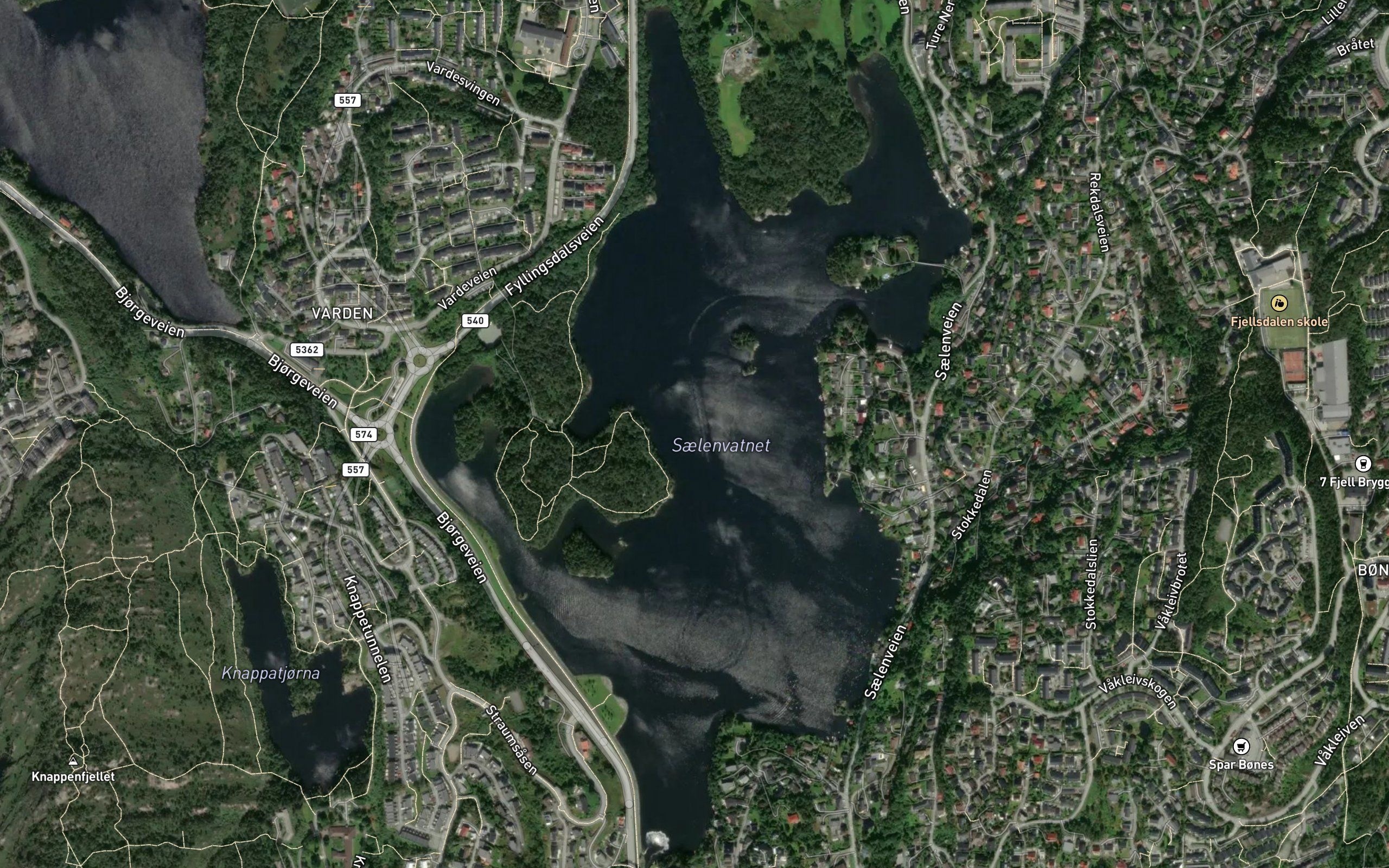 Saelevatnet