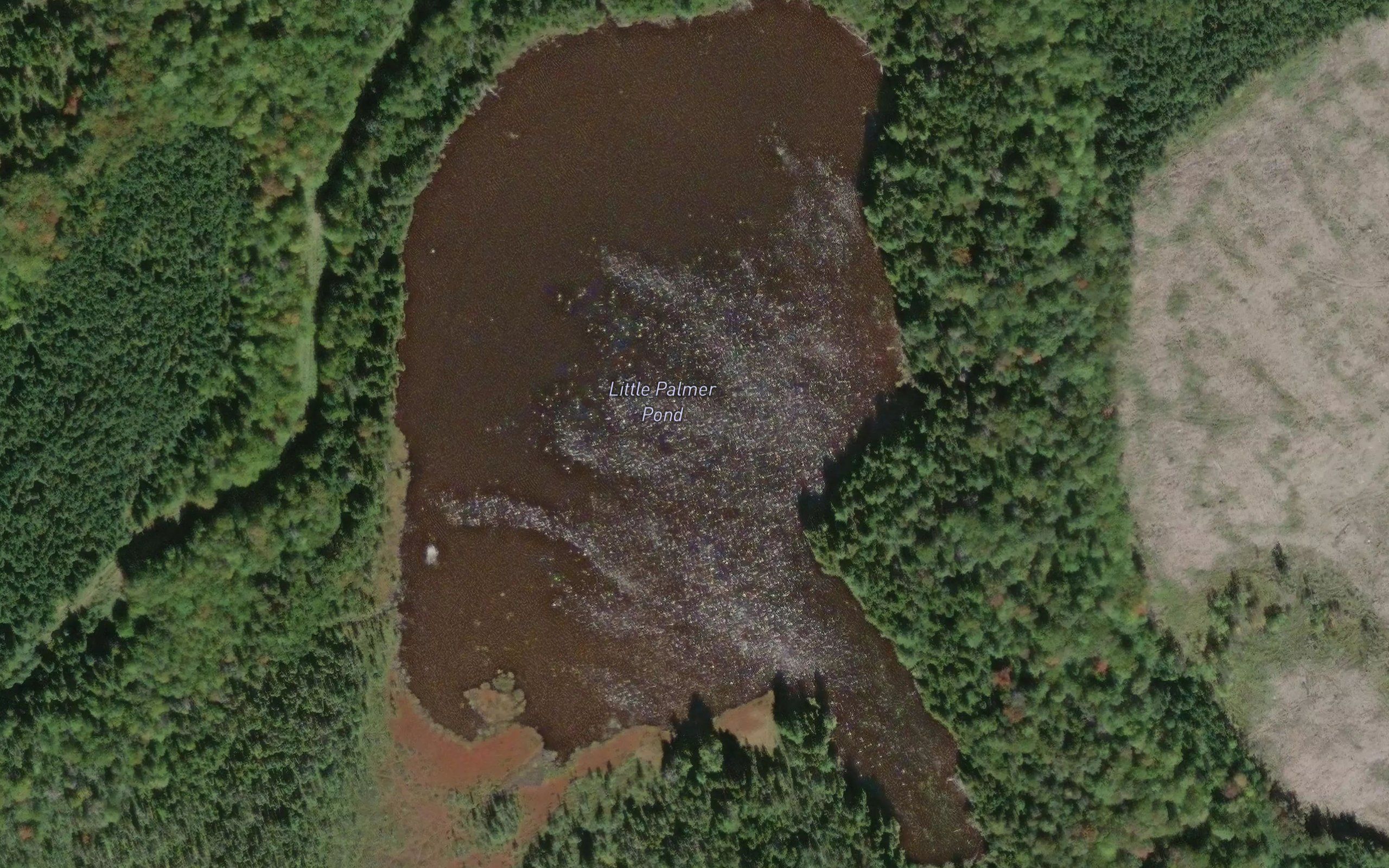 Little Palmer Pond