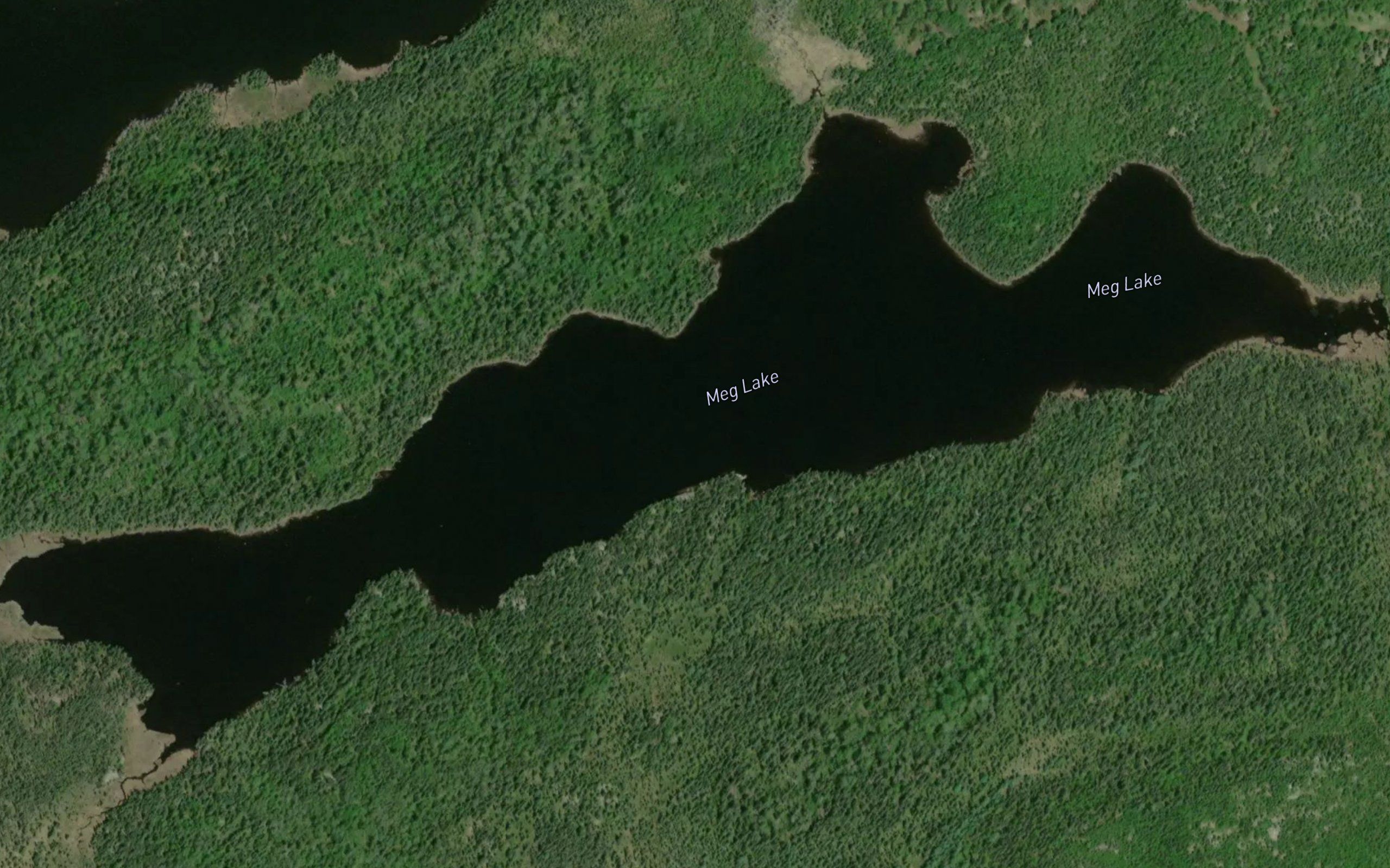 Meg Lake