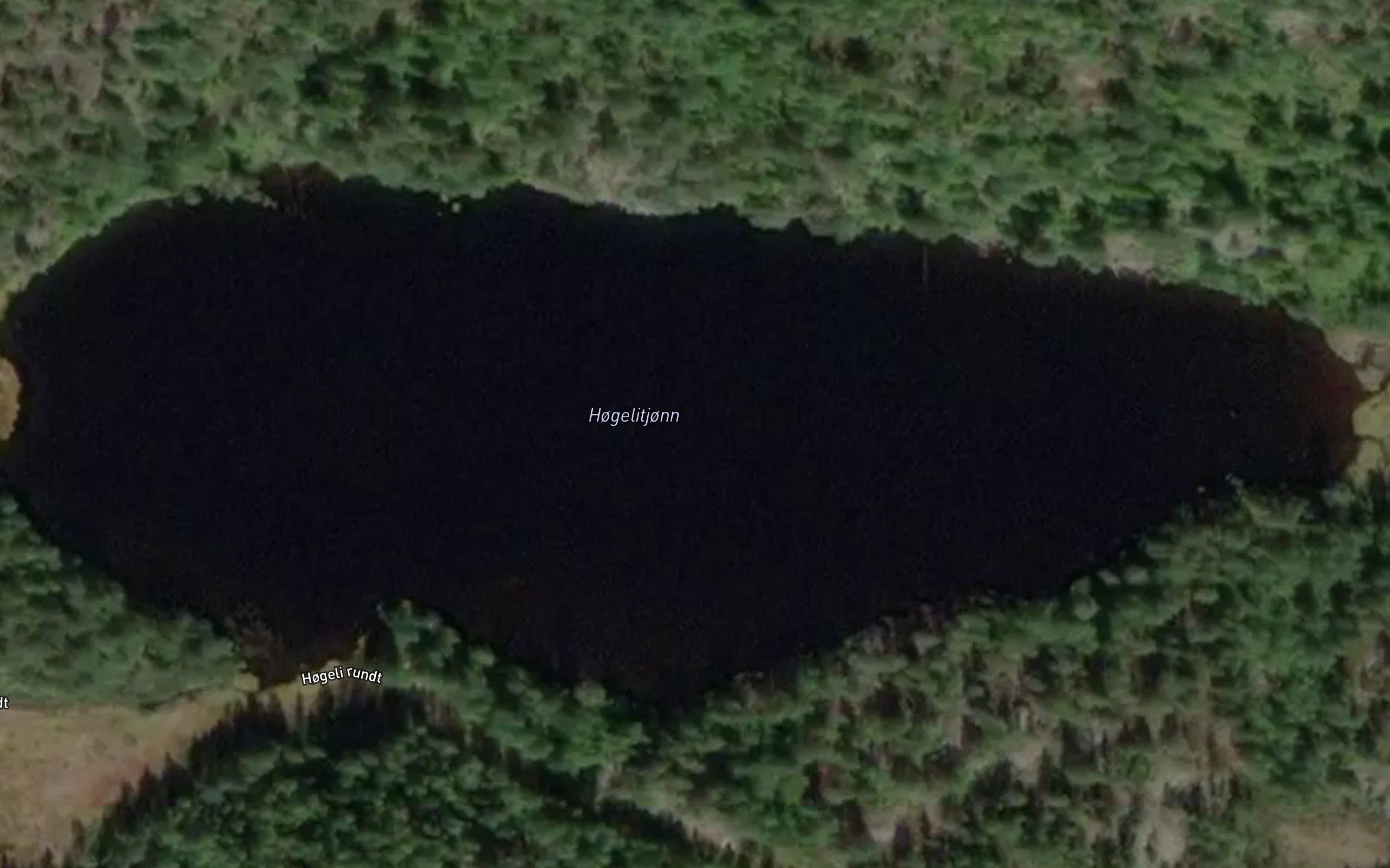 Hogelitjorna