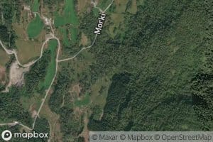 Ligrovi