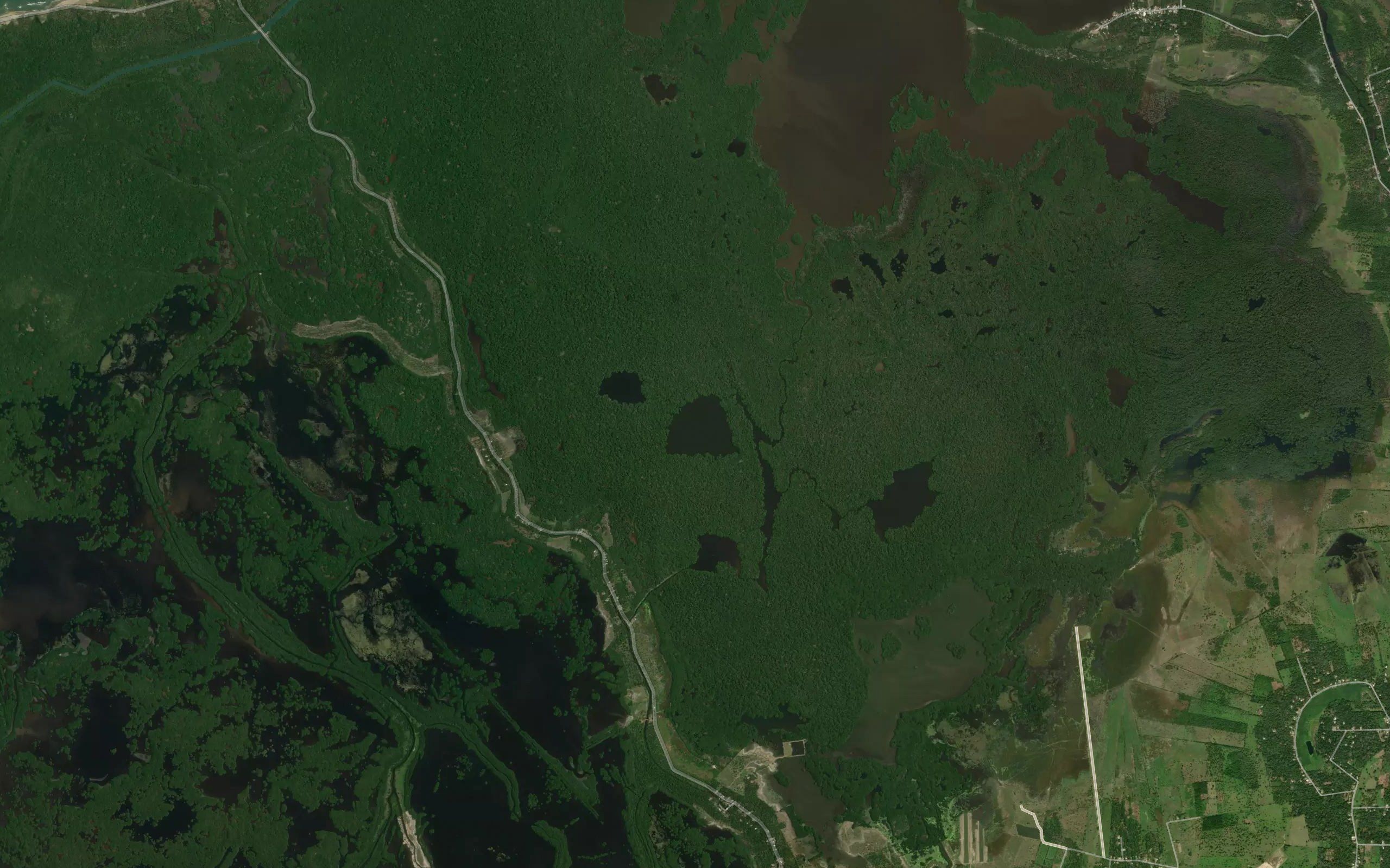Laguna Tia Juana