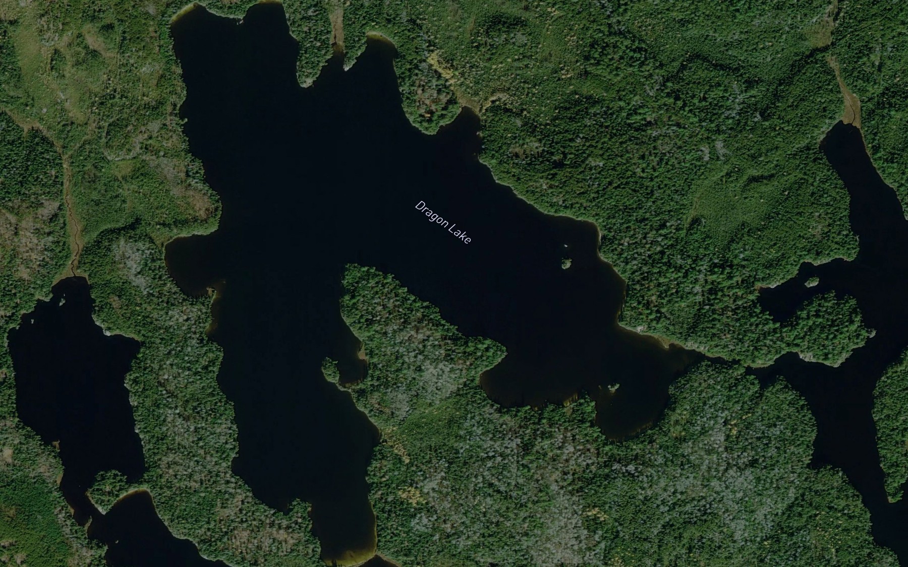 Satellite map of the Dragon Lake