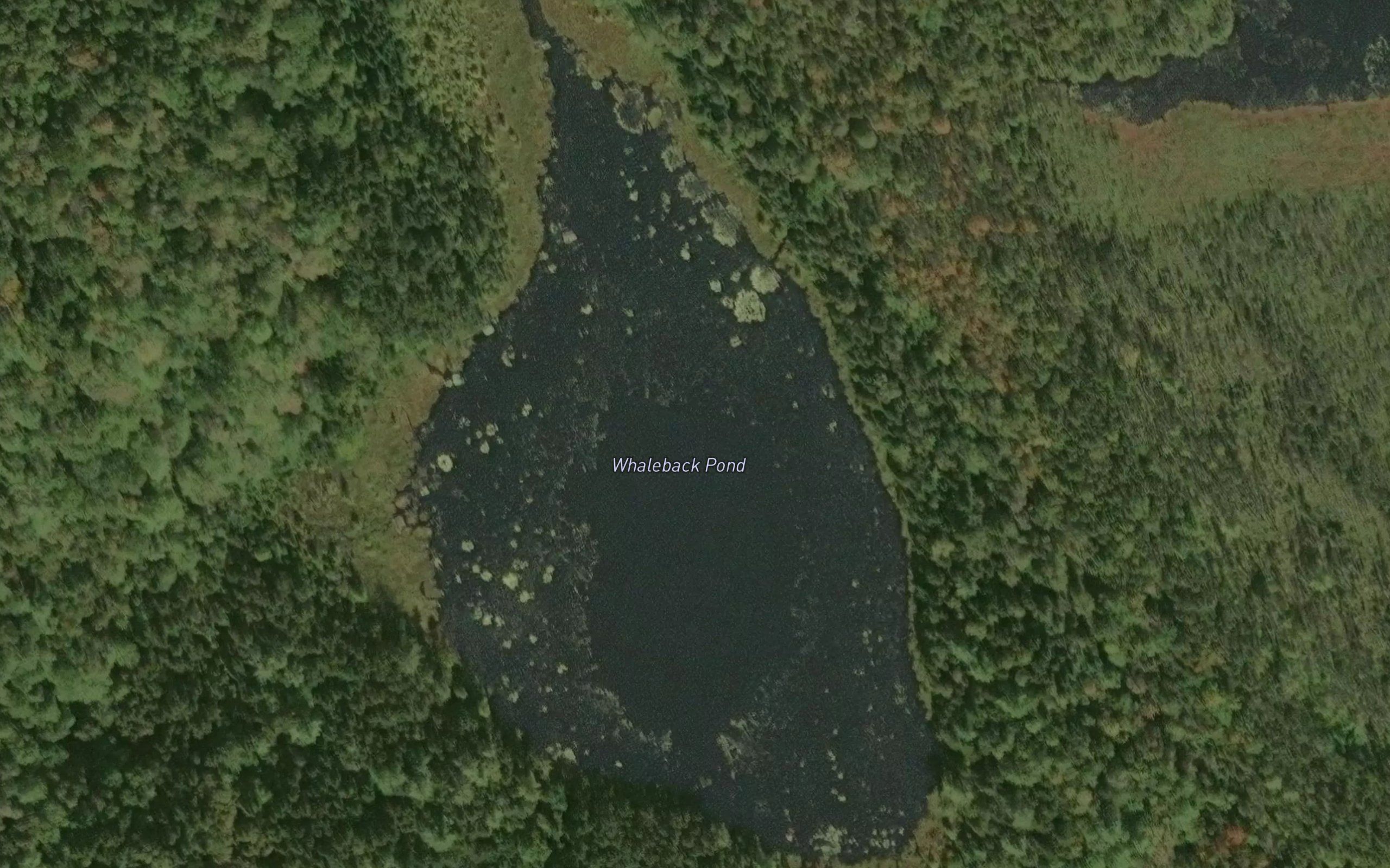 Whaleback Pond