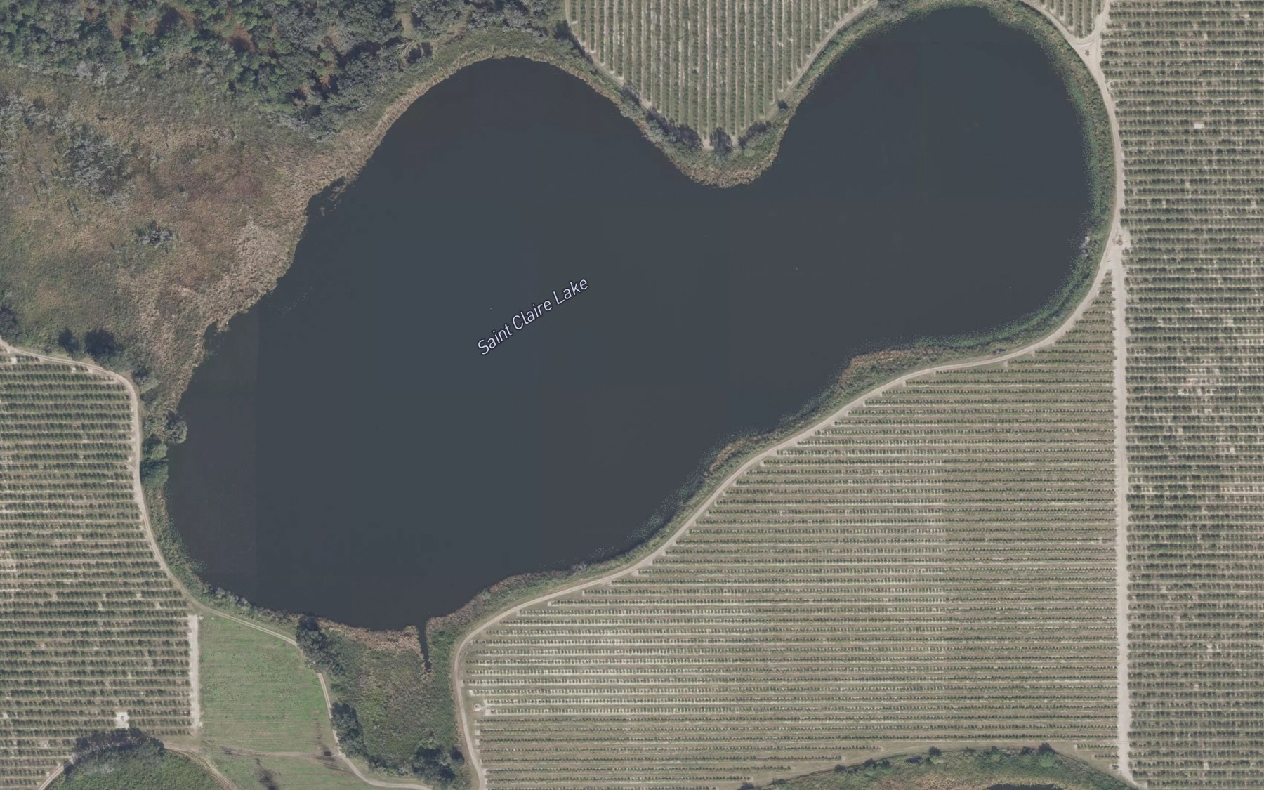 Satellite map of the Saint Claire Lake