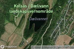 Daelivatnet