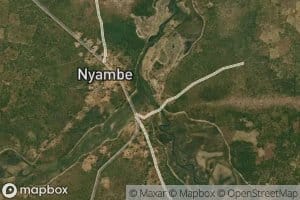 Nyambe