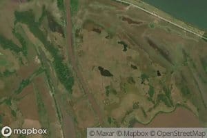 Laguna los Manglares