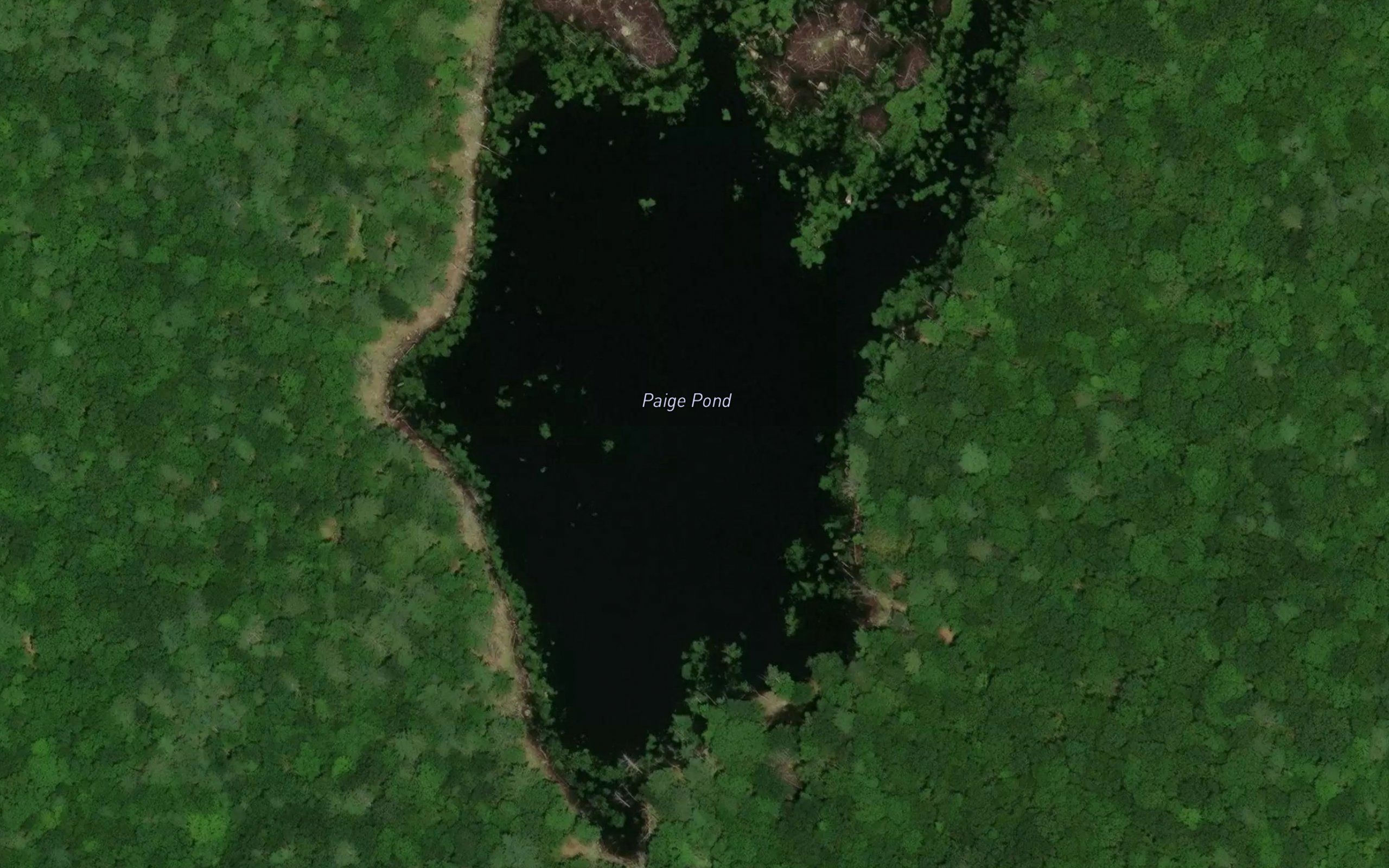 Paige Pond