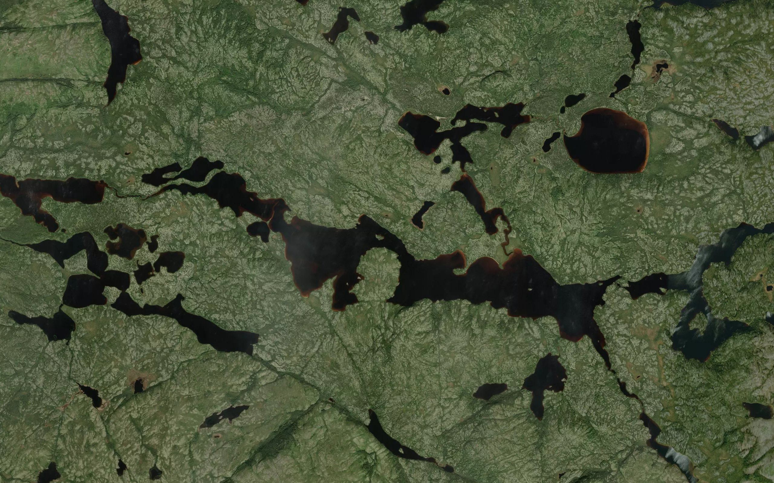 Lac Desgenettes