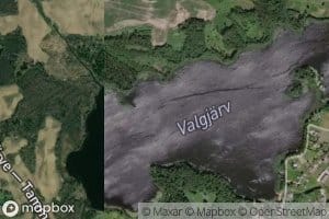 Valgjarv