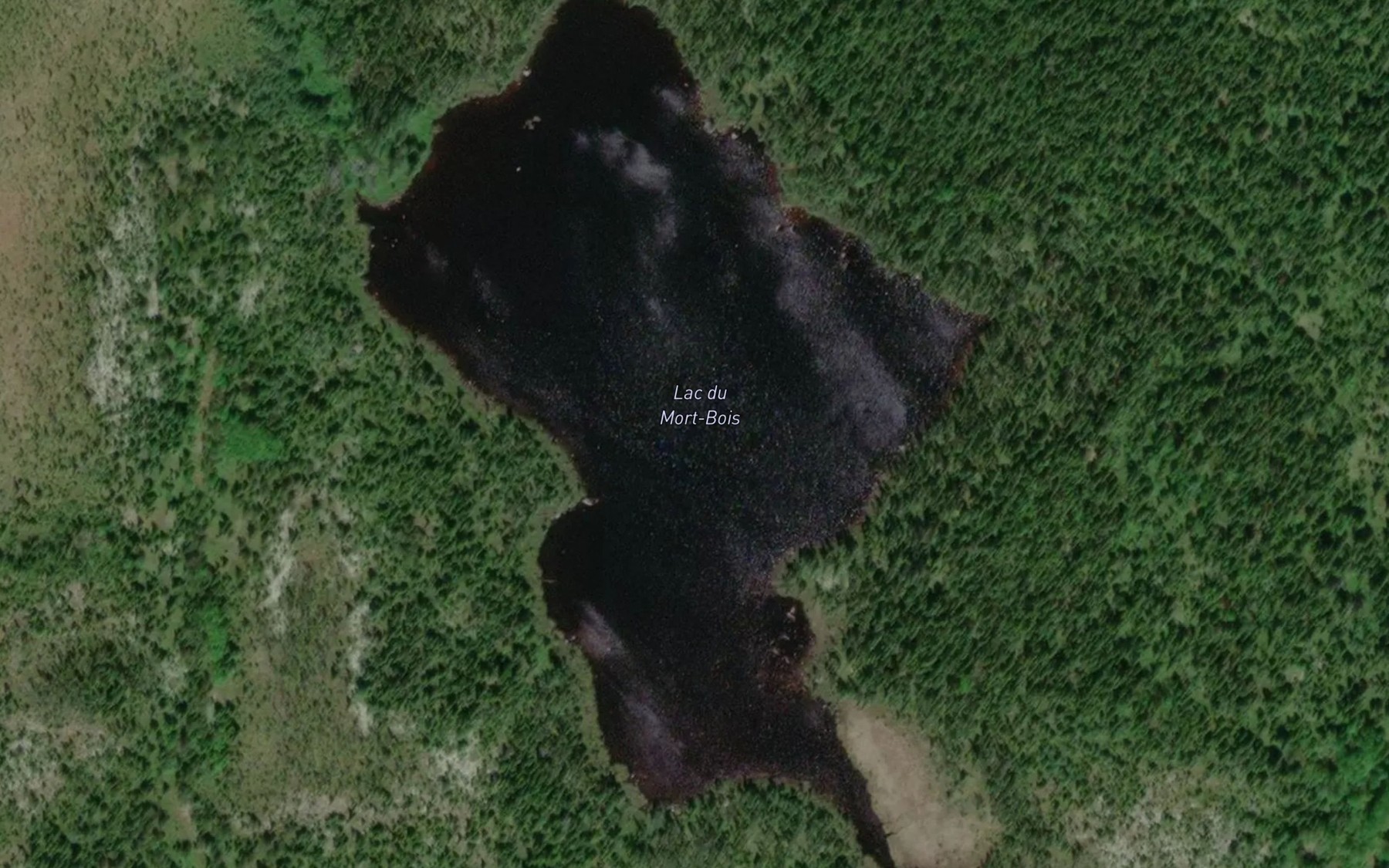 Satellite map of the Lac du Mort-Bois