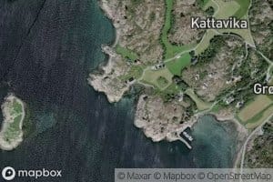 Rovika