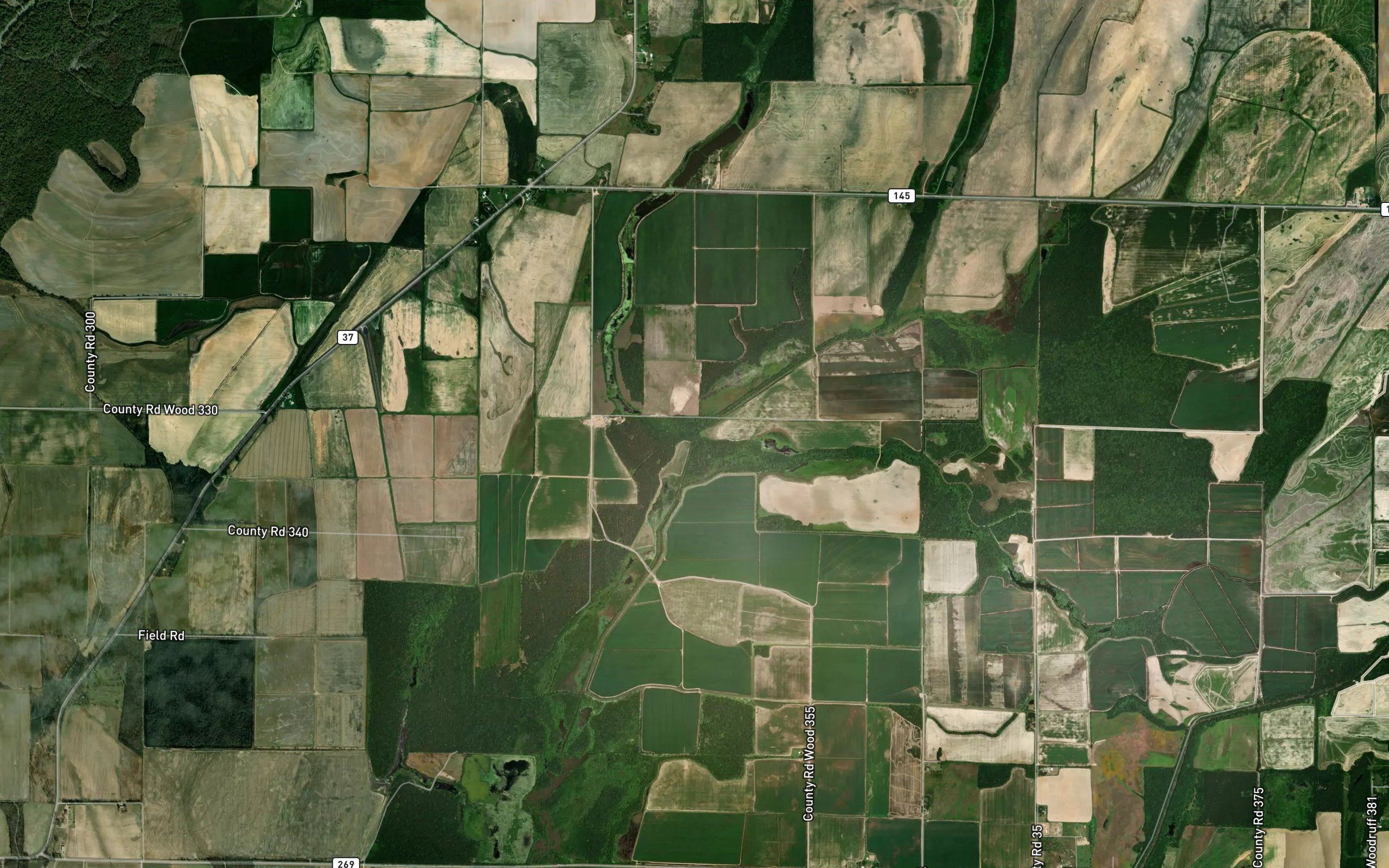 Little Cow Lake