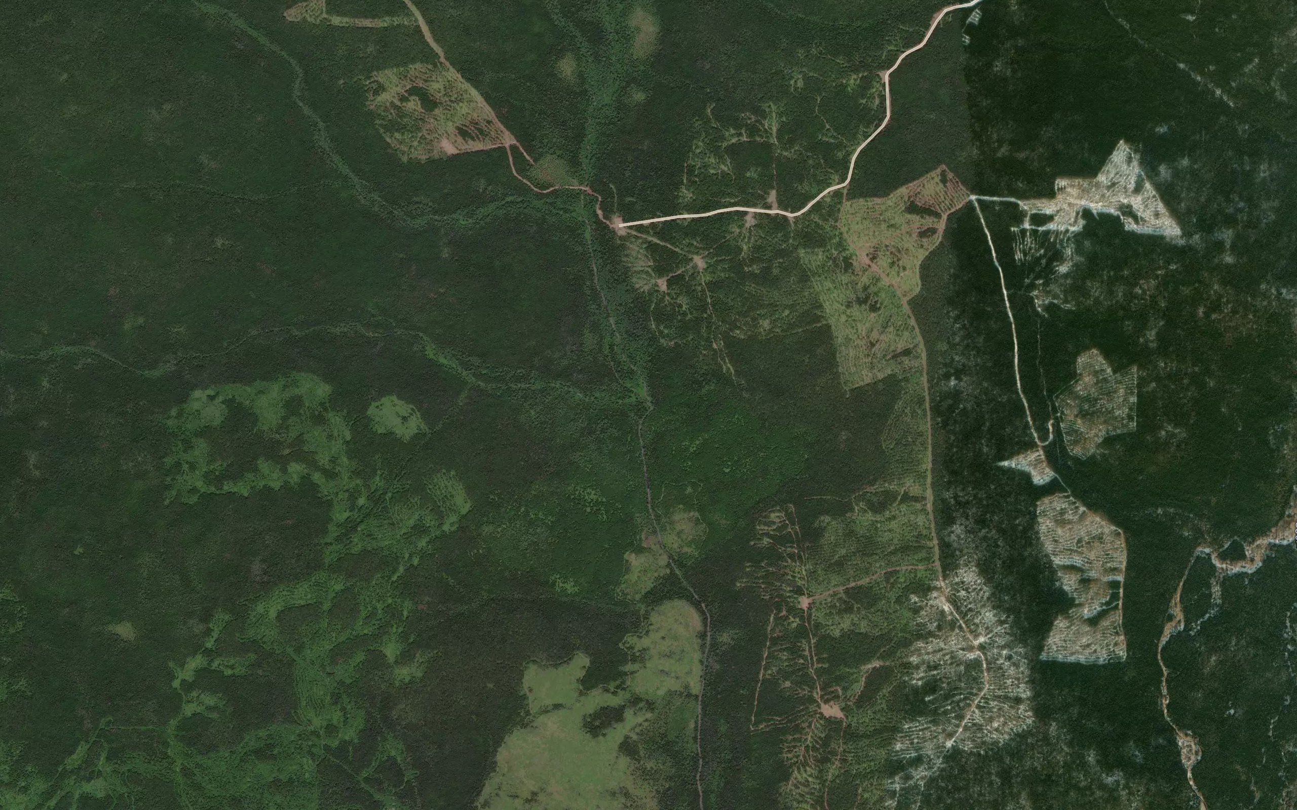 Zvonkiy