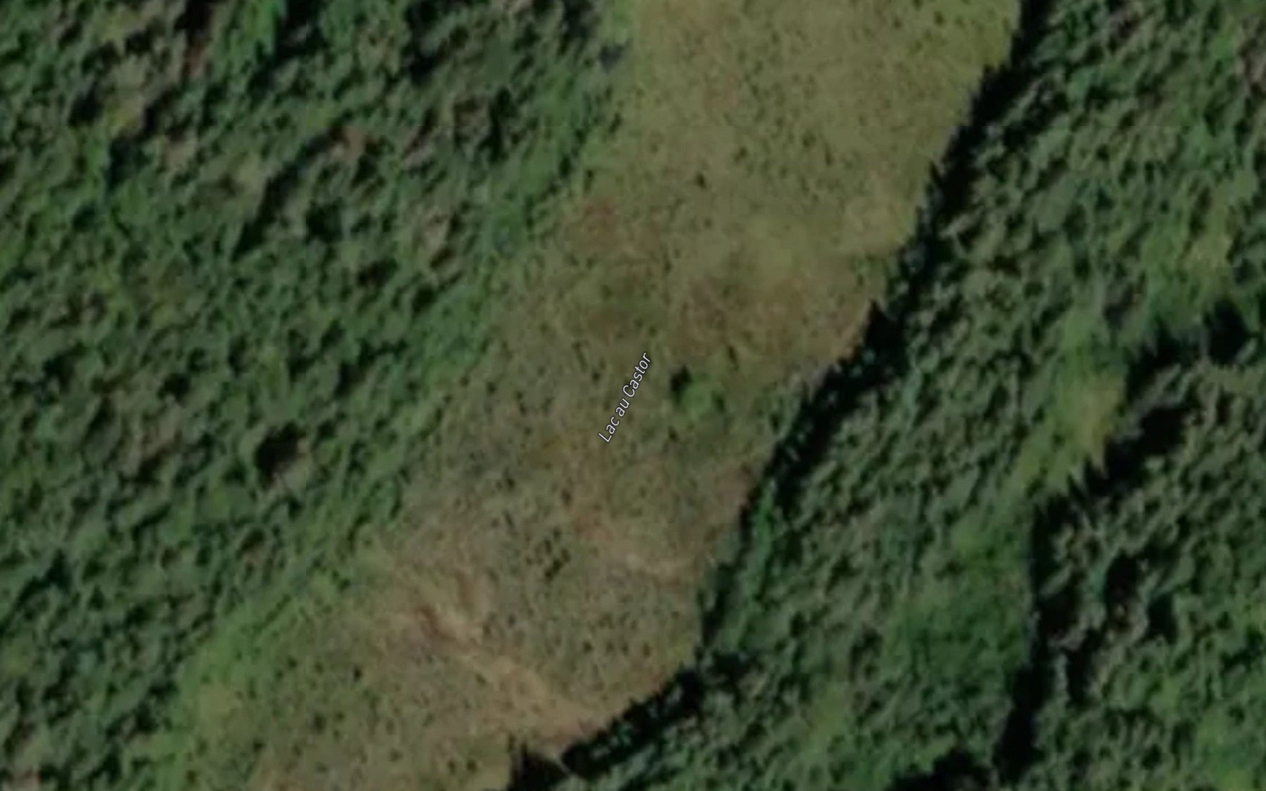 Satellite map of the Lac au Castor
