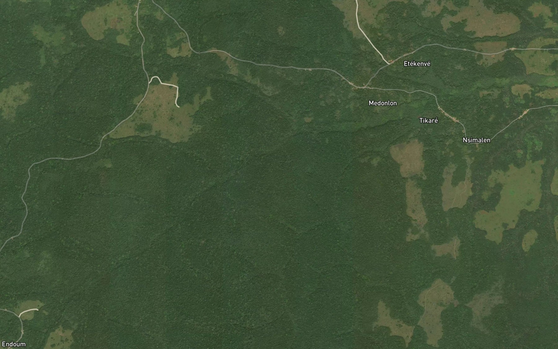 Satellite map of the Niega