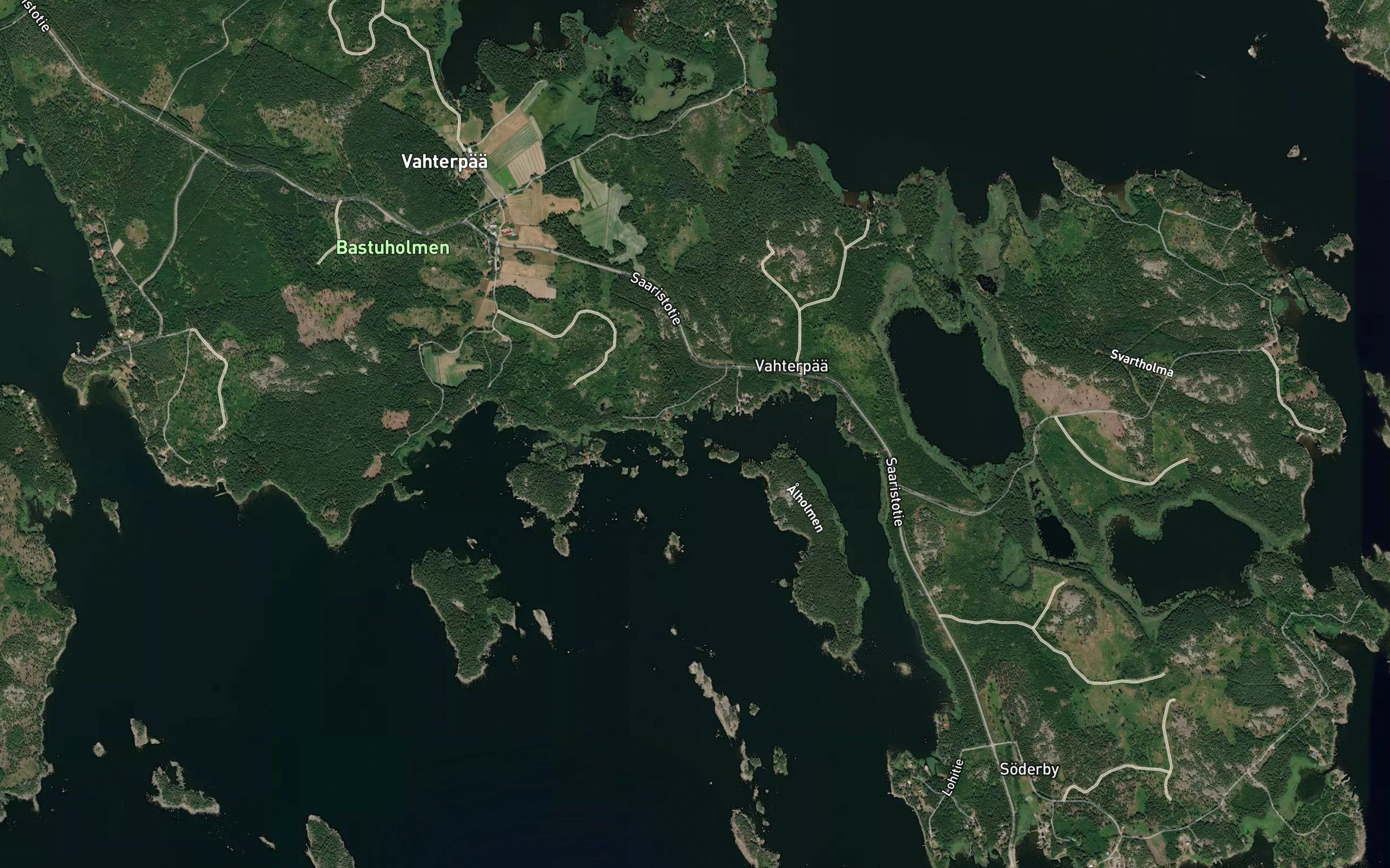 Grasviken